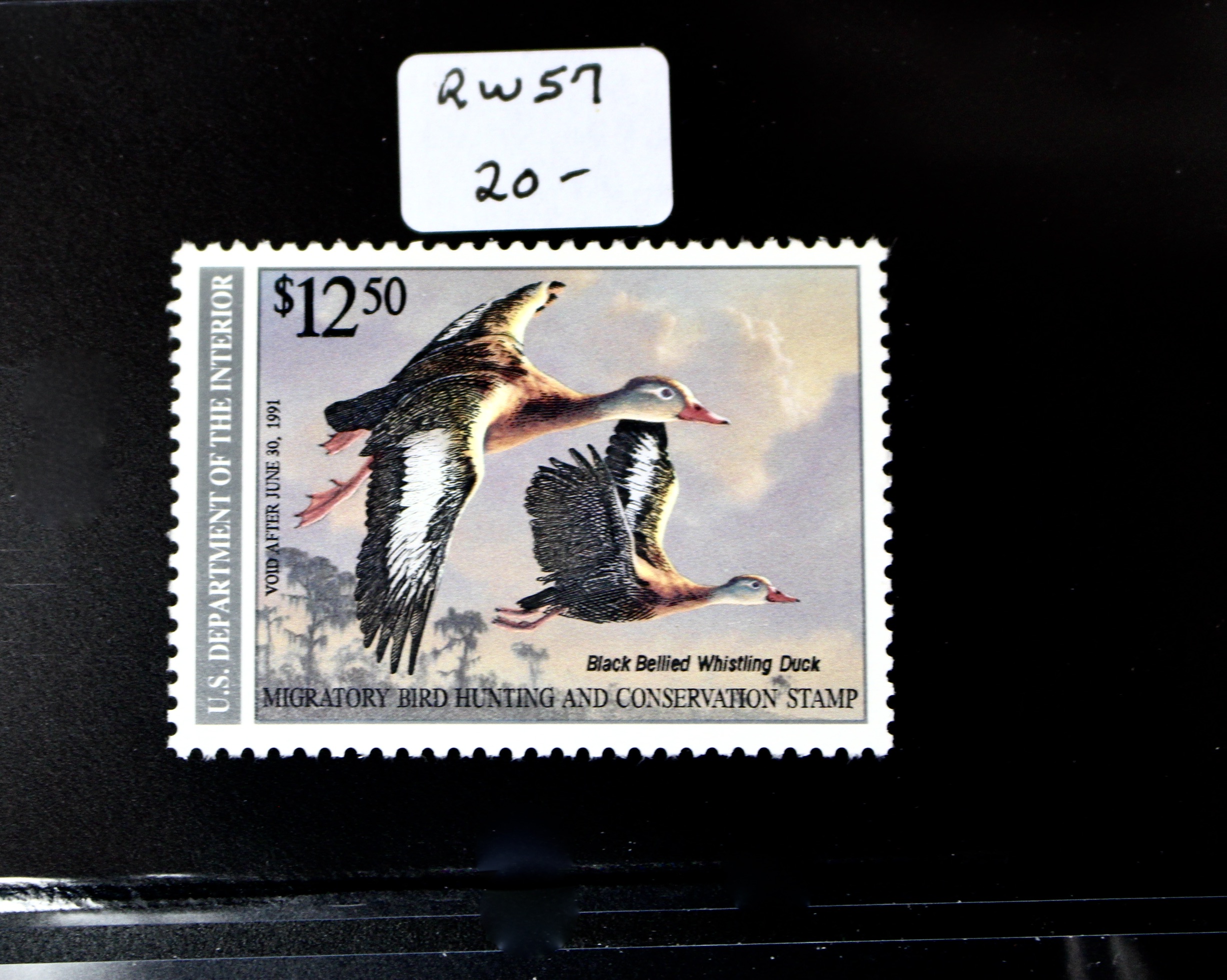 Thirteen MNH U.S. Duck Stamps