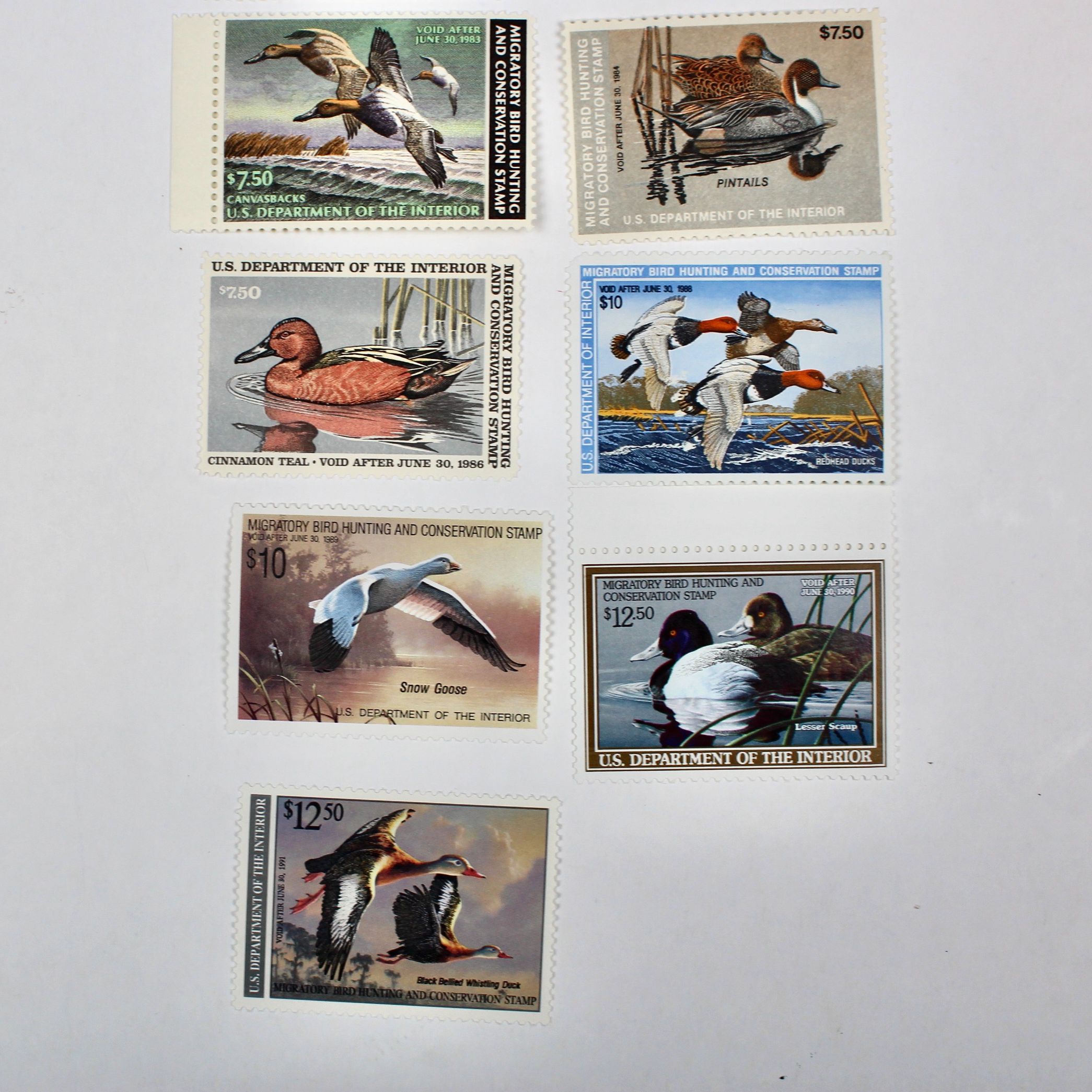 Thirteen MNH U.S. Duck Stamps