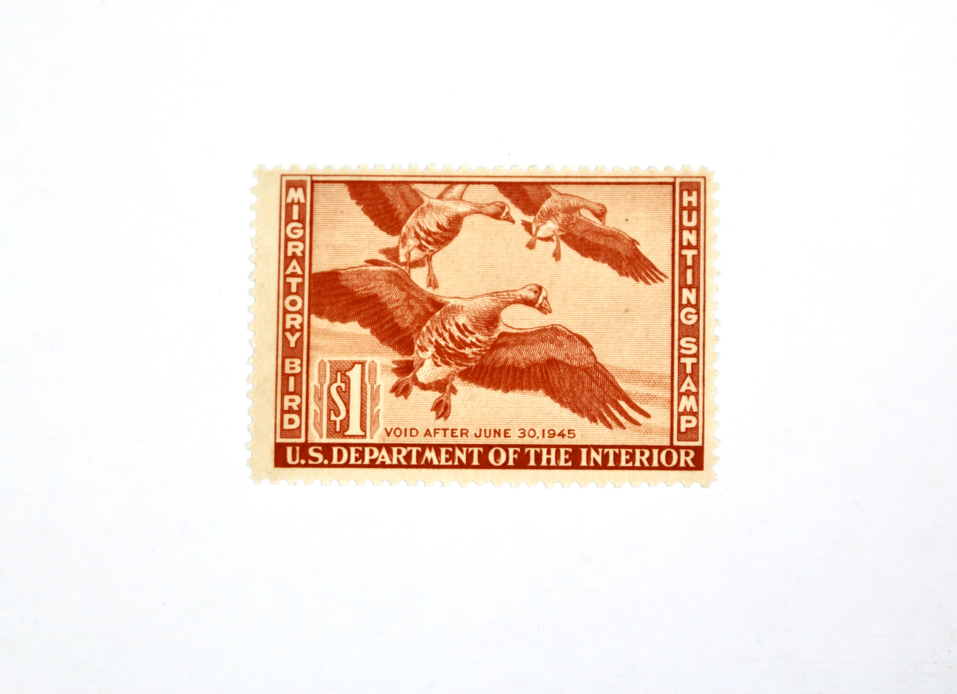 Early Group of Mint Condition U.S. Duck Stamps, 1943-1949