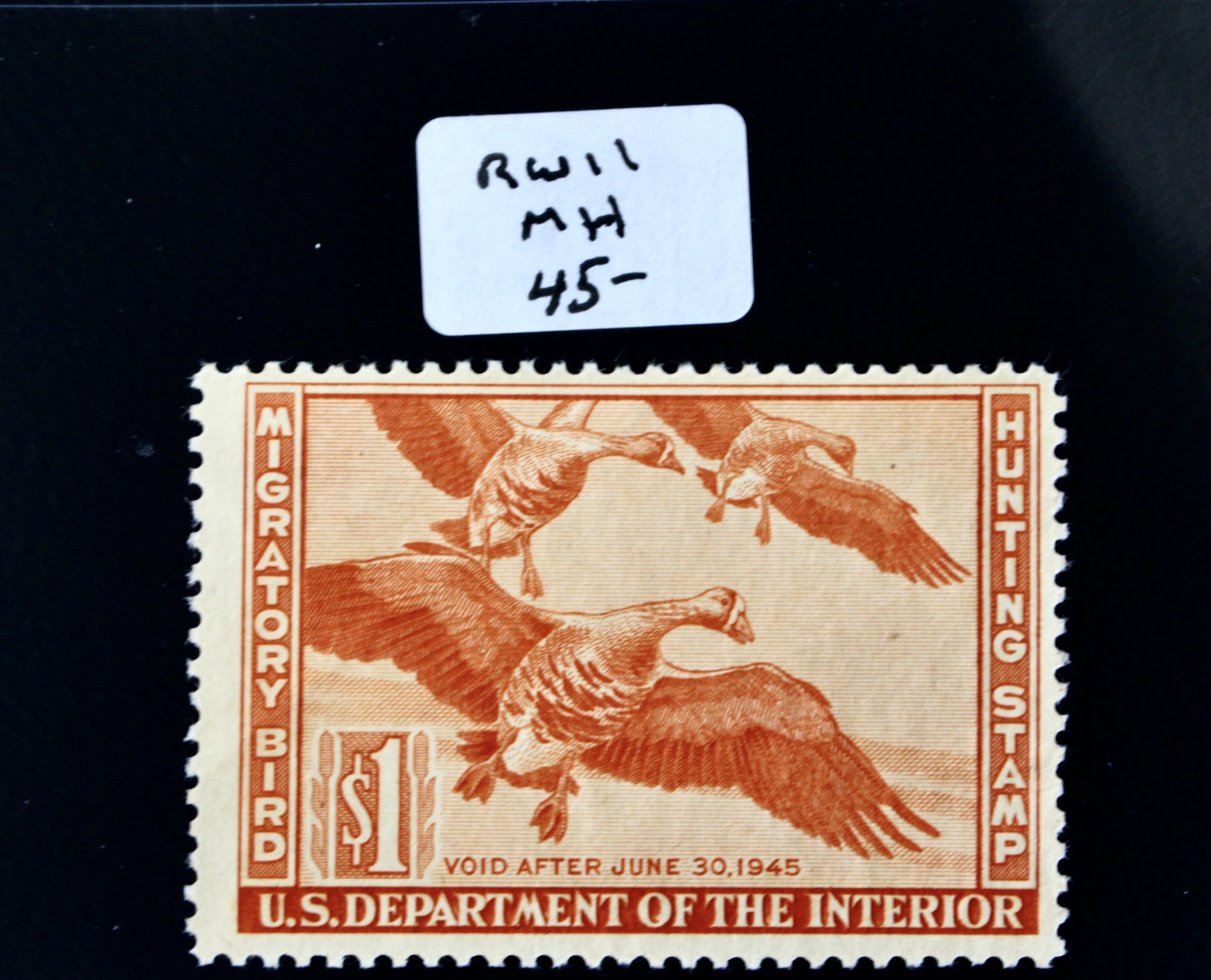 Early Group of Mint Condition U.S. Duck Stamps, 1943-1949