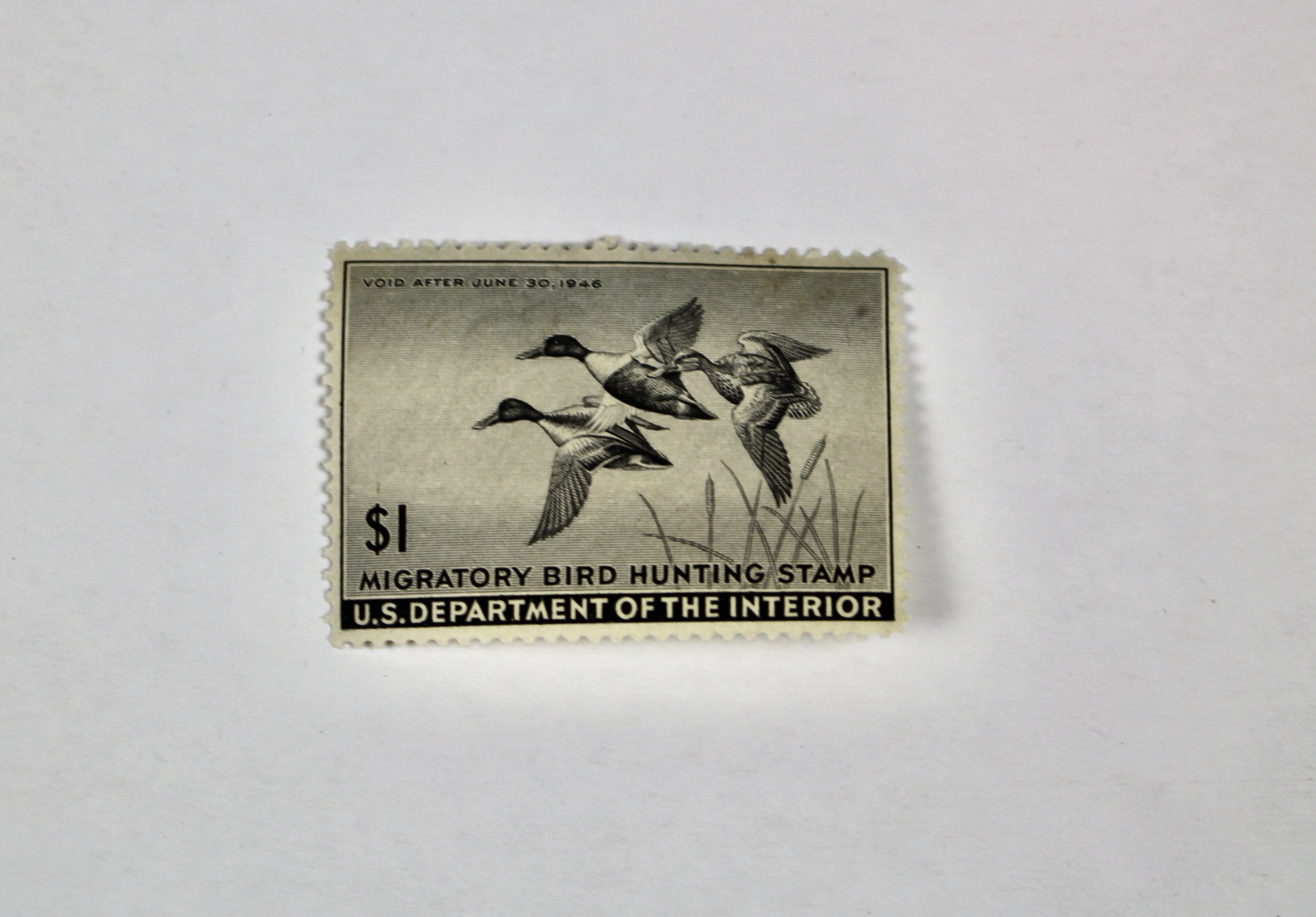 Early Group of Mint Condition U.S. Duck Stamps, 1943-1949