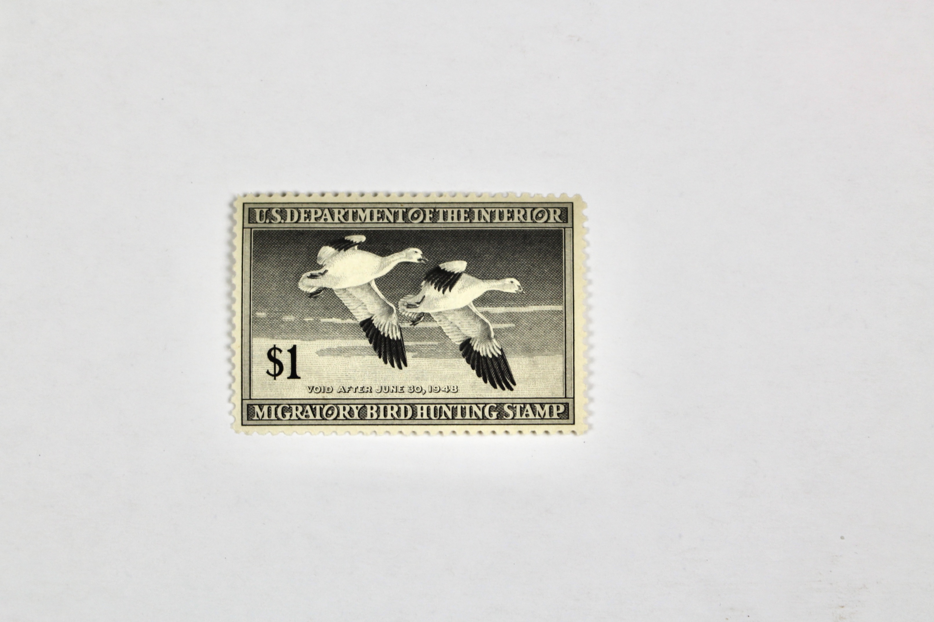 Early Group of Mint Condition U.S. Duck Stamps, 1943-1949