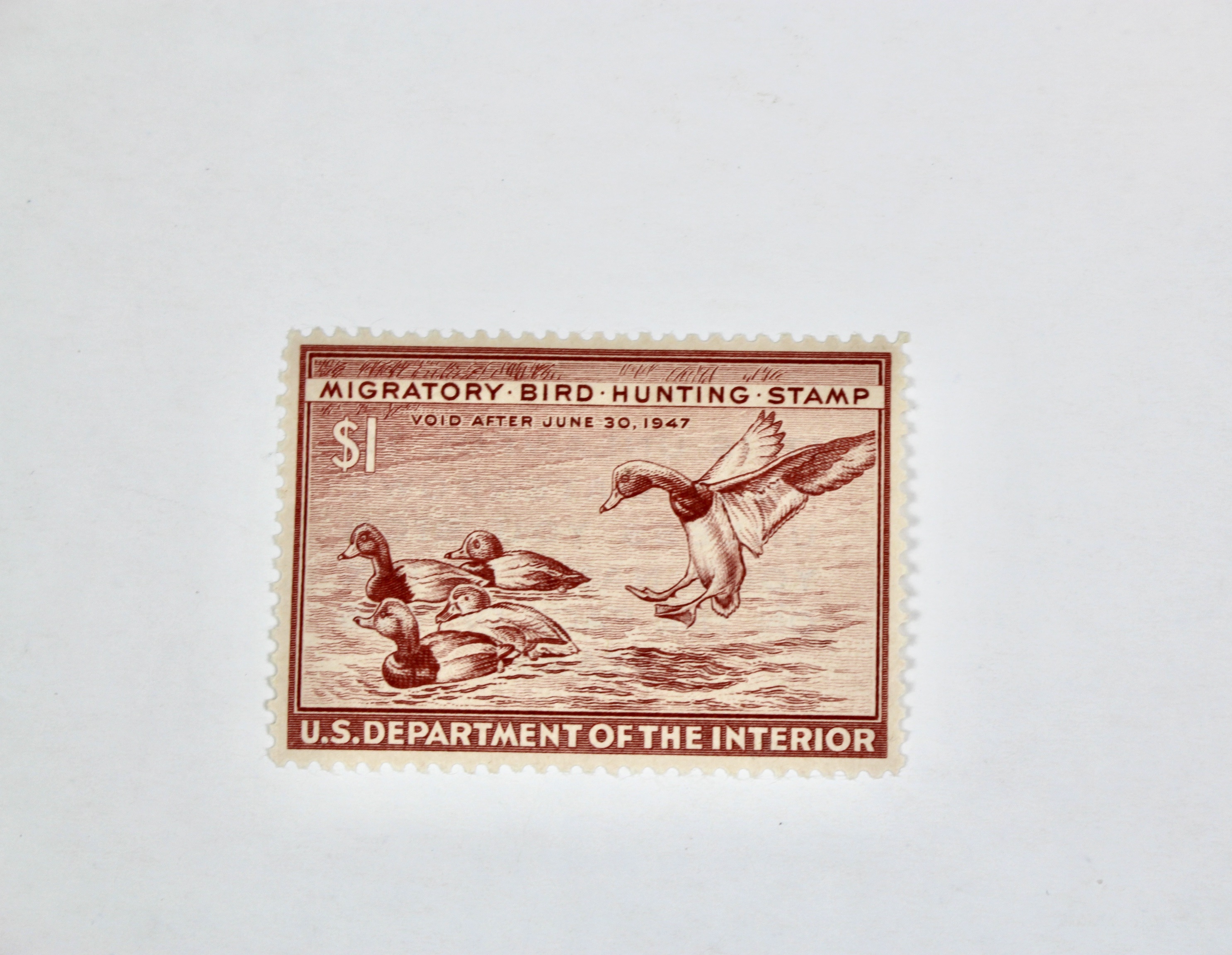Early Group of Mint Condition U.S. Duck Stamps, 1943-1949