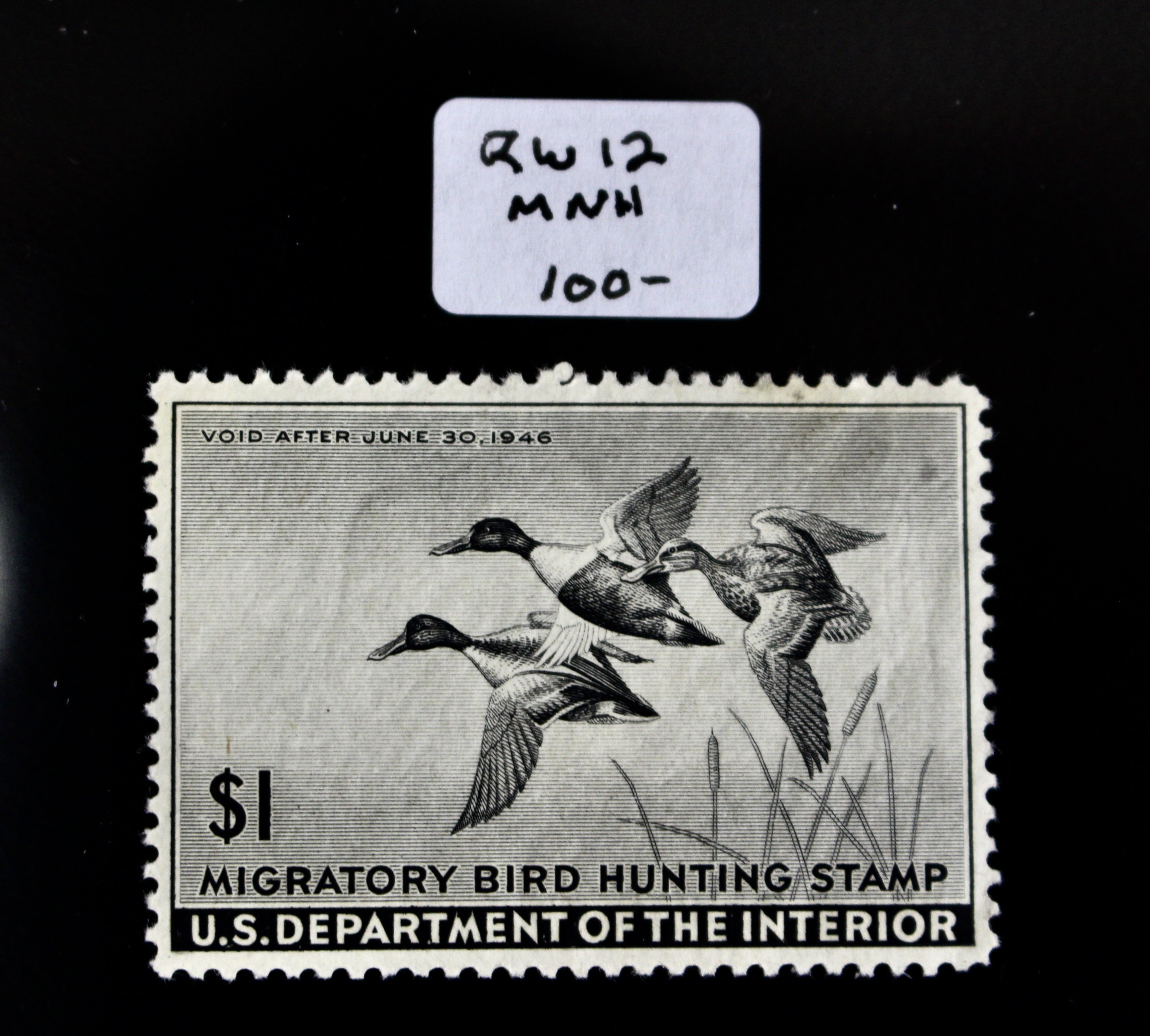 Early Group of Mint Condition U.S. Duck Stamps, 1943-1949
