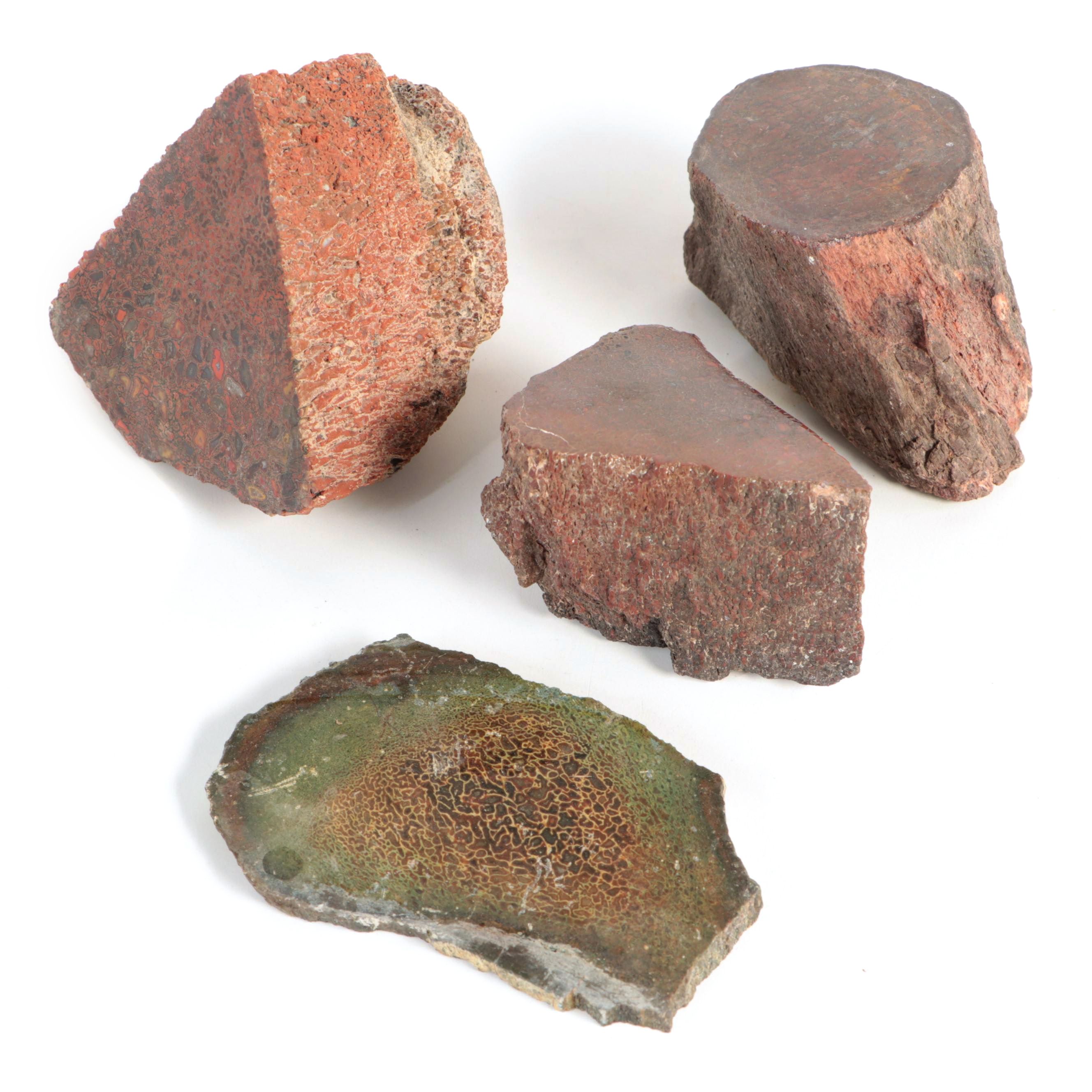 Agatized Fossil Dinosaur Bone Specimens