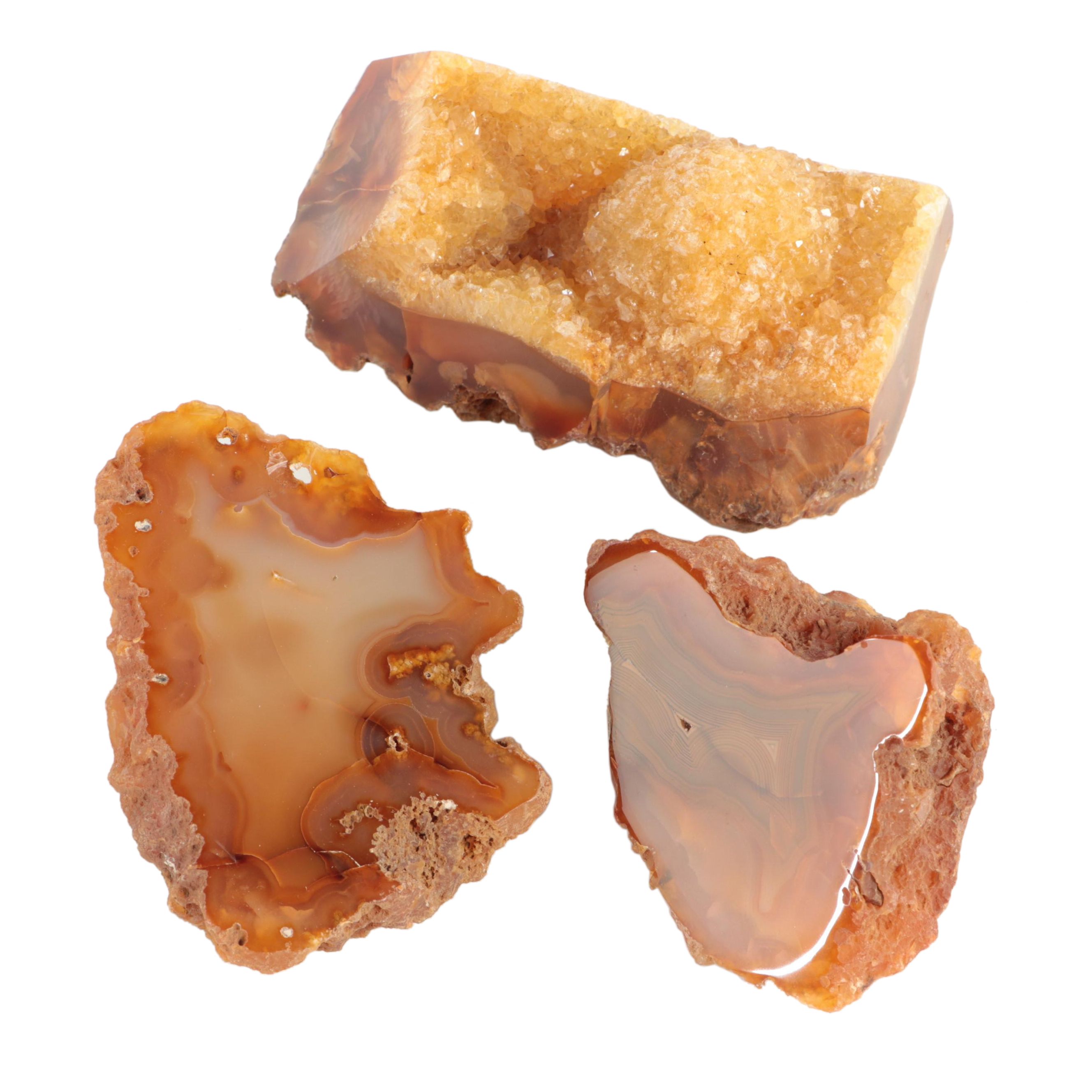 Polished Carnelian Agate Mineral Specimens