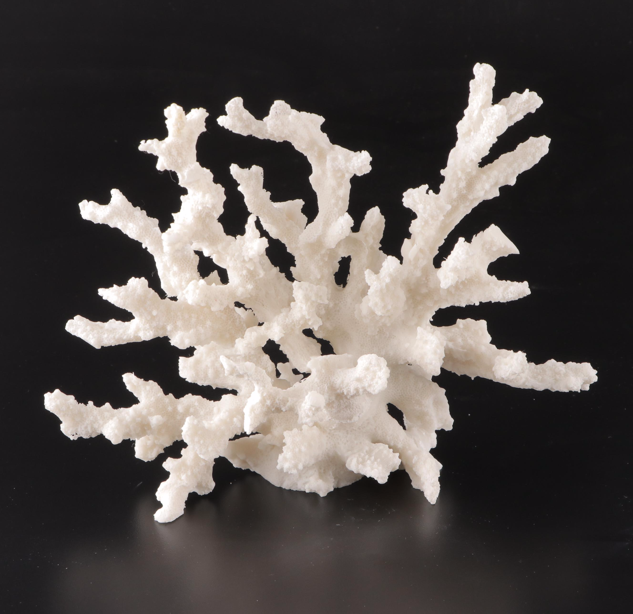 Imax Tessellated Mother-of-Pearl Box with Ethan Allen Resin Faux Coral