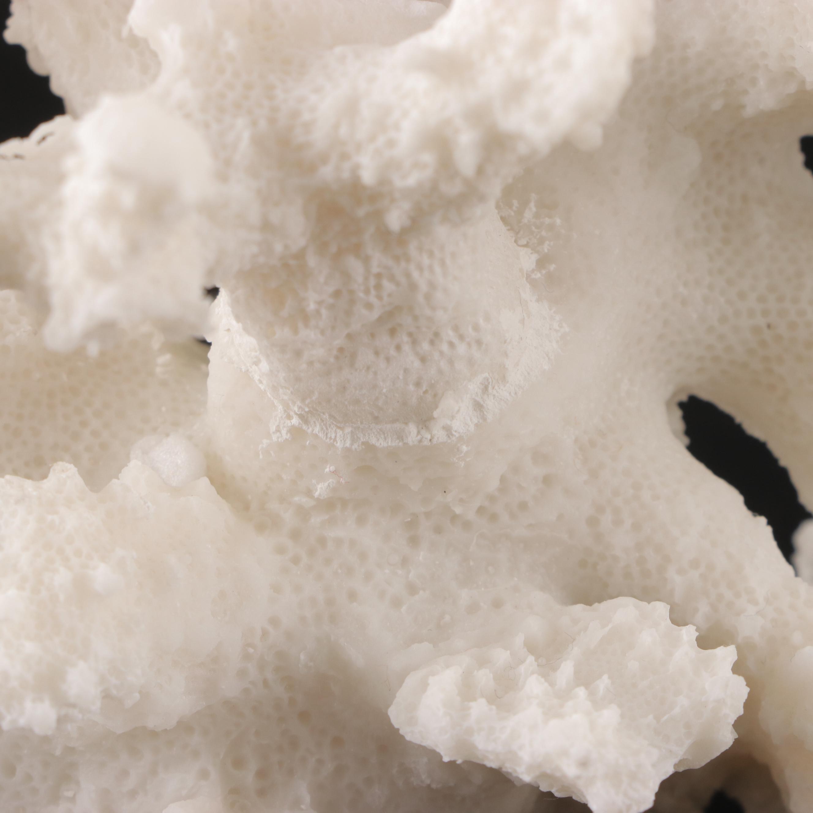 Imax Tessellated Mother-of-Pearl Box with Ethan Allen Resin Faux Coral