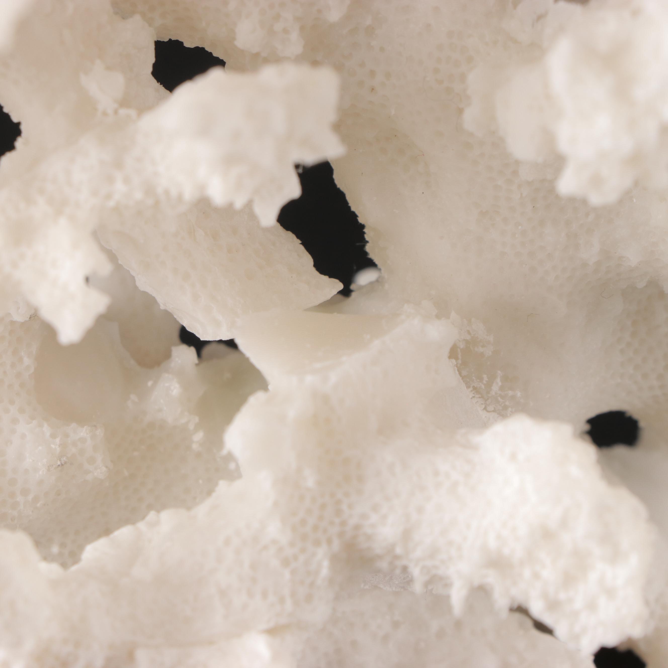 Imax Tessellated Mother-of-Pearl Box with Ethan Allen Resin Faux Coral