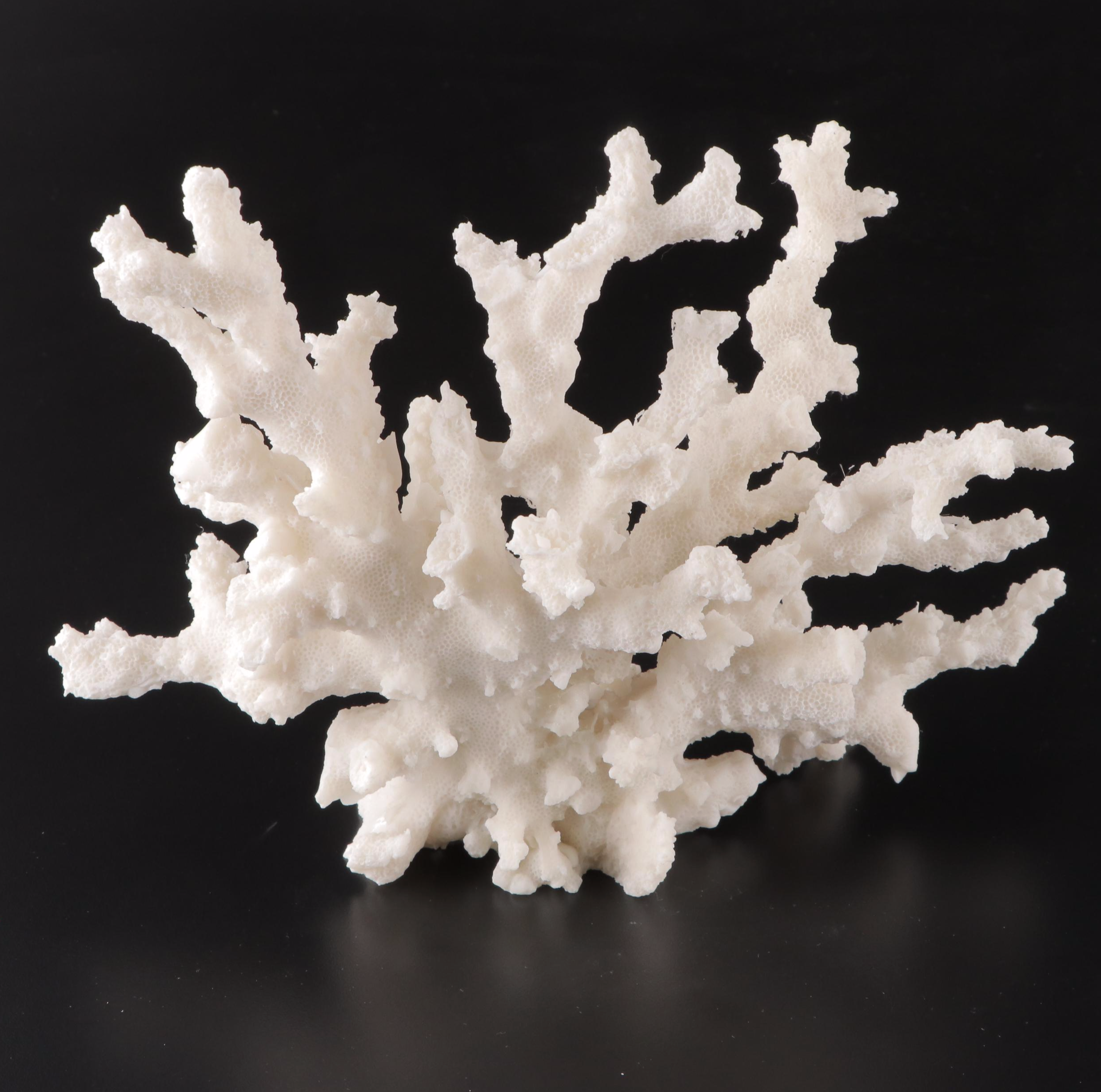 Imax Tessellated Mother-of-Pearl Box with Ethan Allen Resin Faux Coral