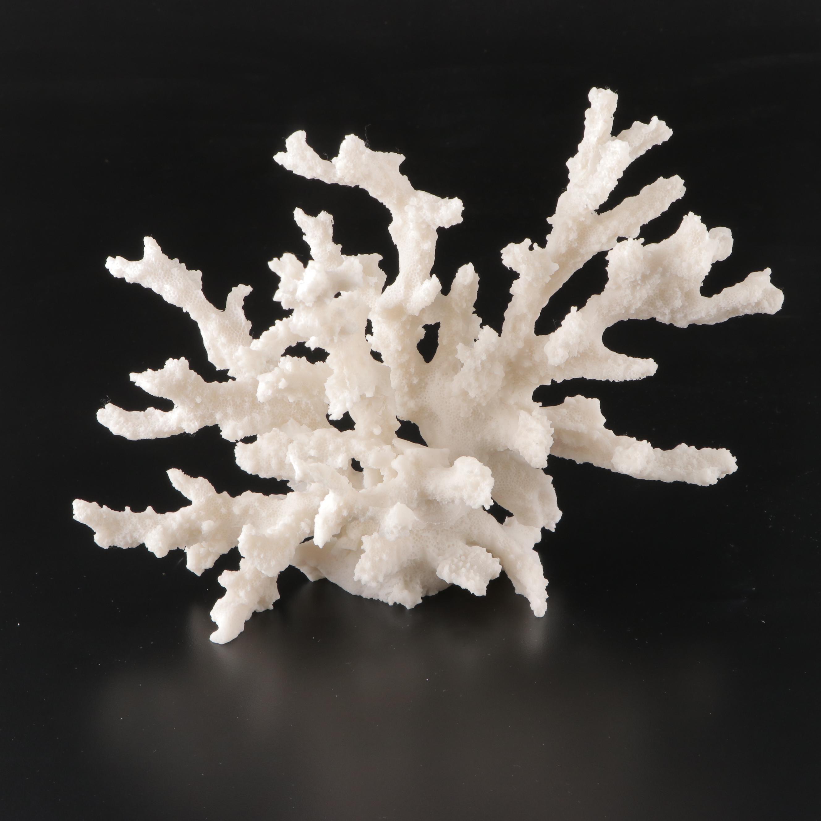 Imax Tessellated Mother-of-Pearl Box with Ethan Allen Resin Faux Coral