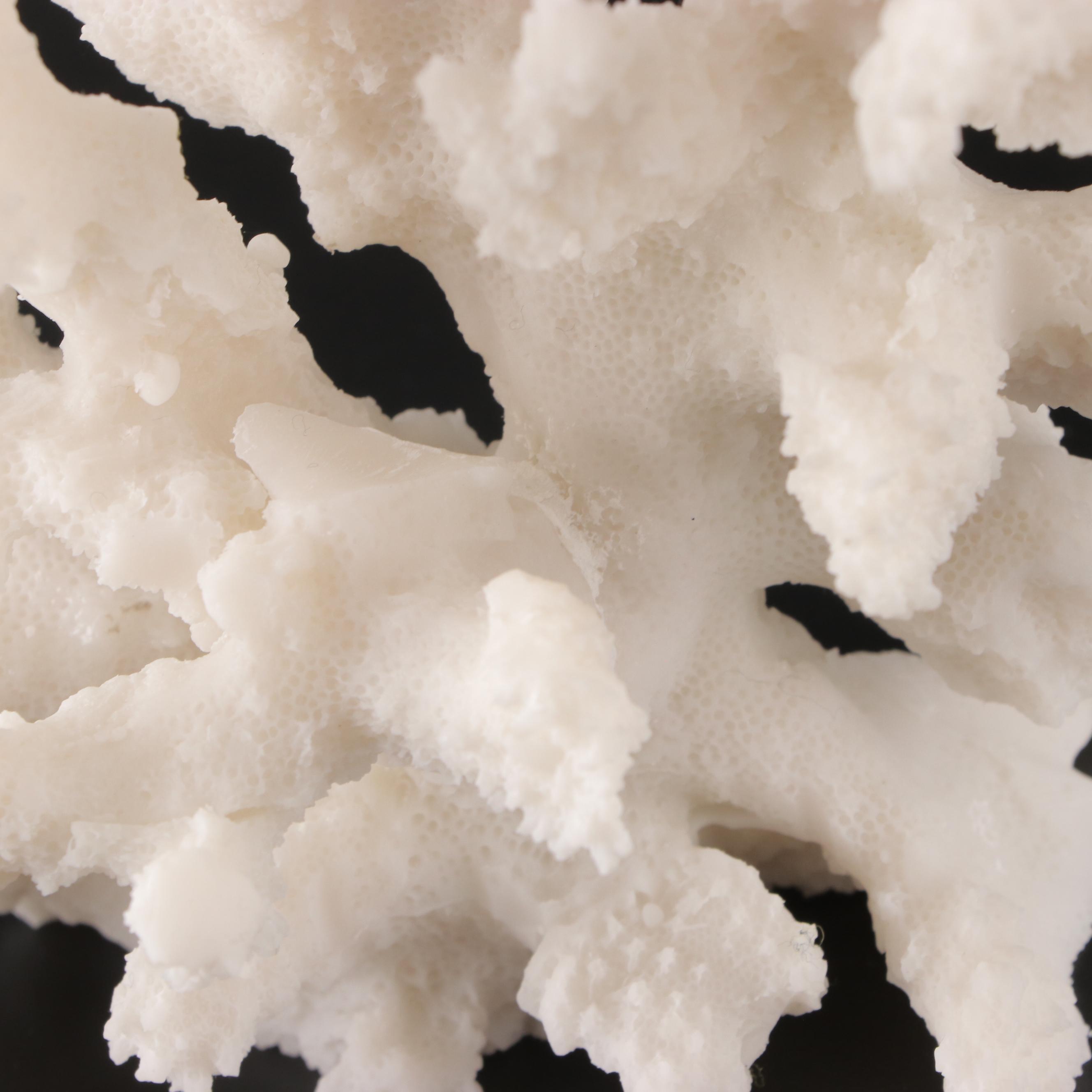 Imax Tessellated Mother-of-Pearl Box with Ethan Allen Resin Faux Coral