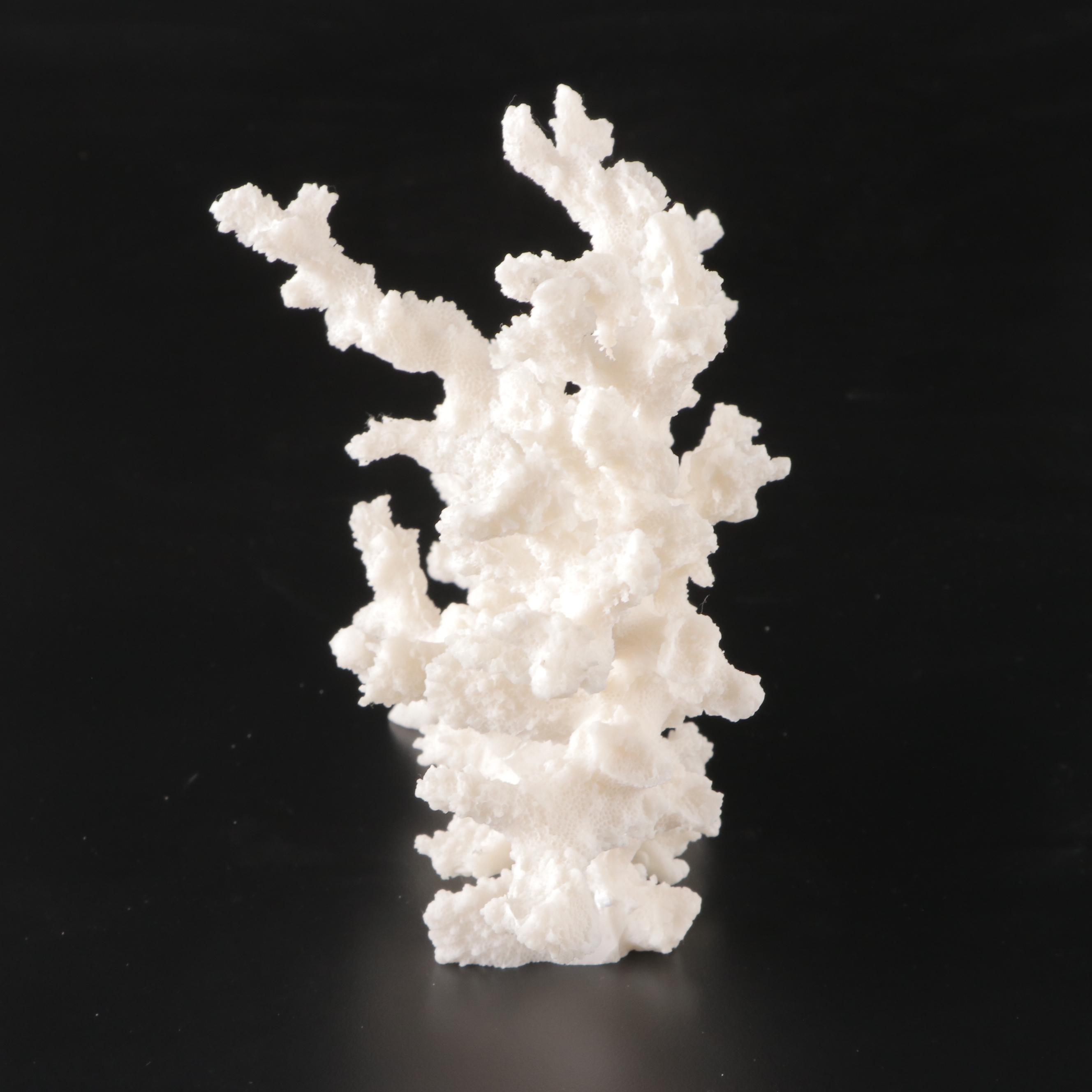 Imax Tessellated Mother-of-Pearl Box with Ethan Allen Resin Faux Coral