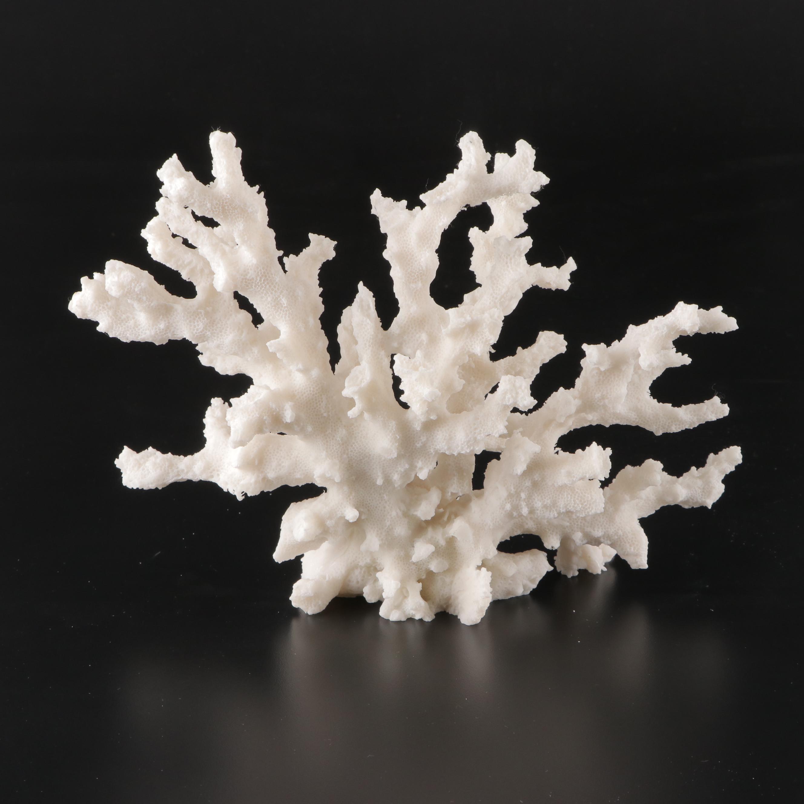 Imax Tessellated Mother-of-Pearl Box with Ethan Allen Resin Faux Coral