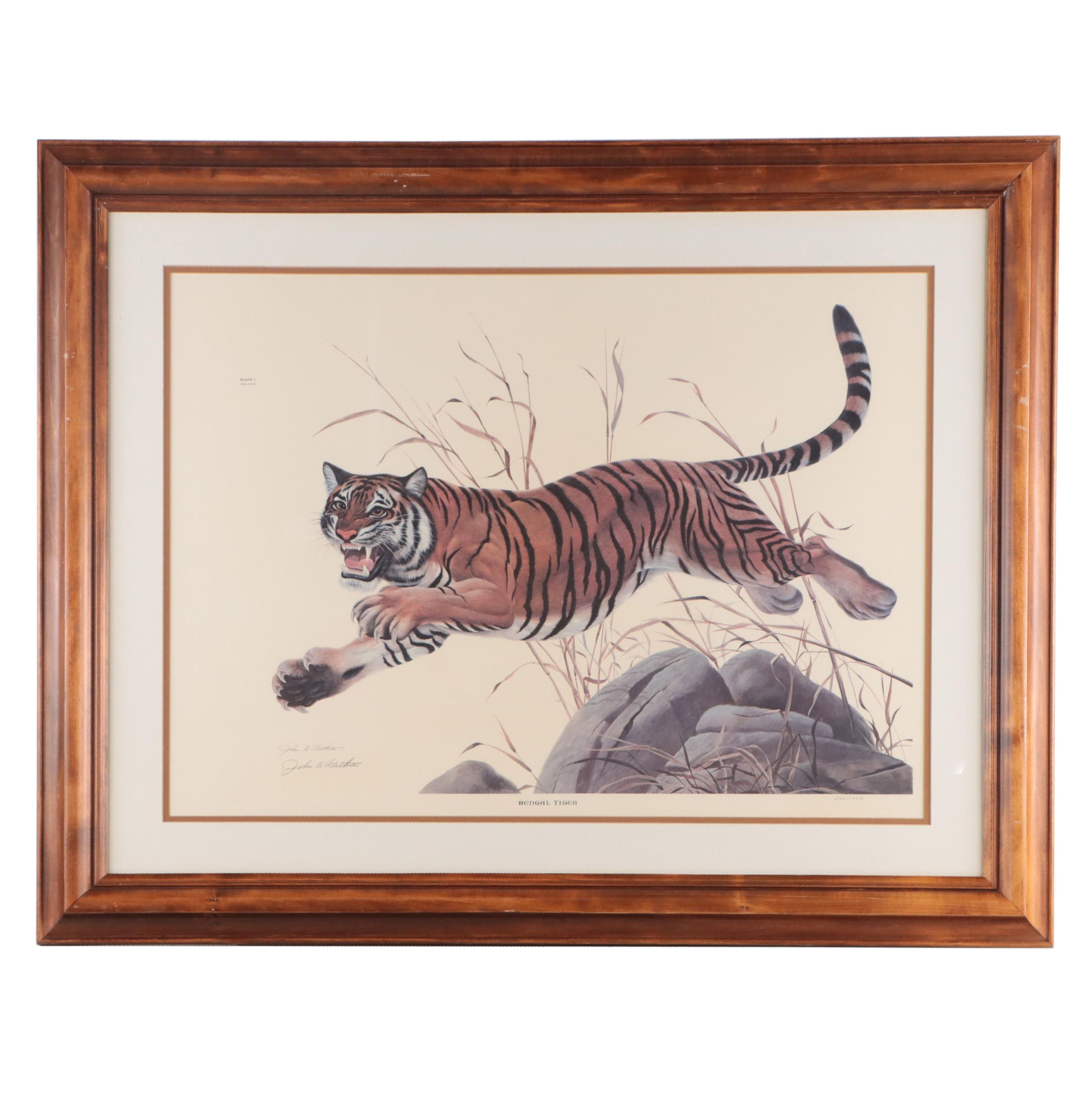 John A. Ruthven Offset Lithograph "Bengal Tiger"