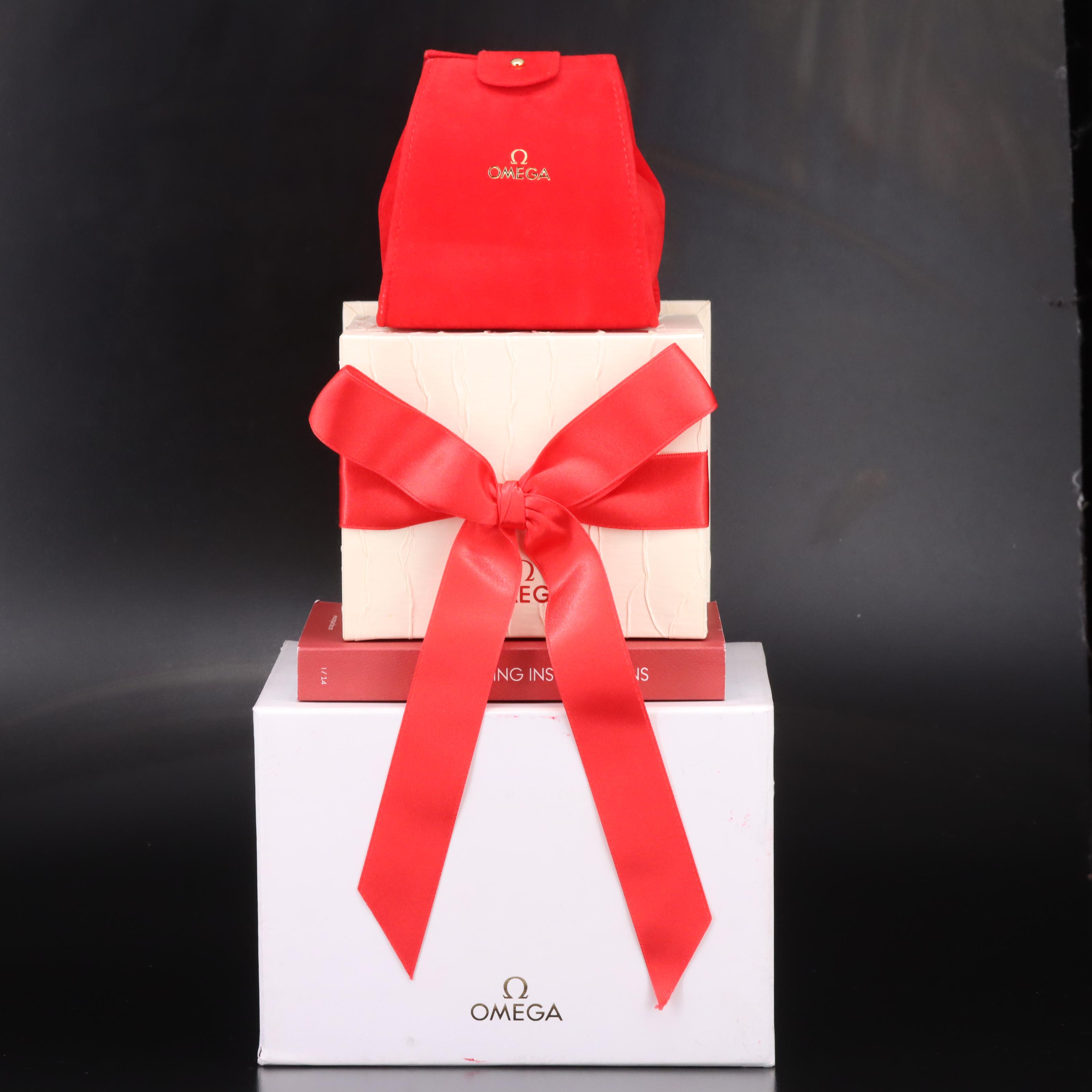 Omega Seamaster Aqua Terra Large 41mm Chronometer Automatic Watch