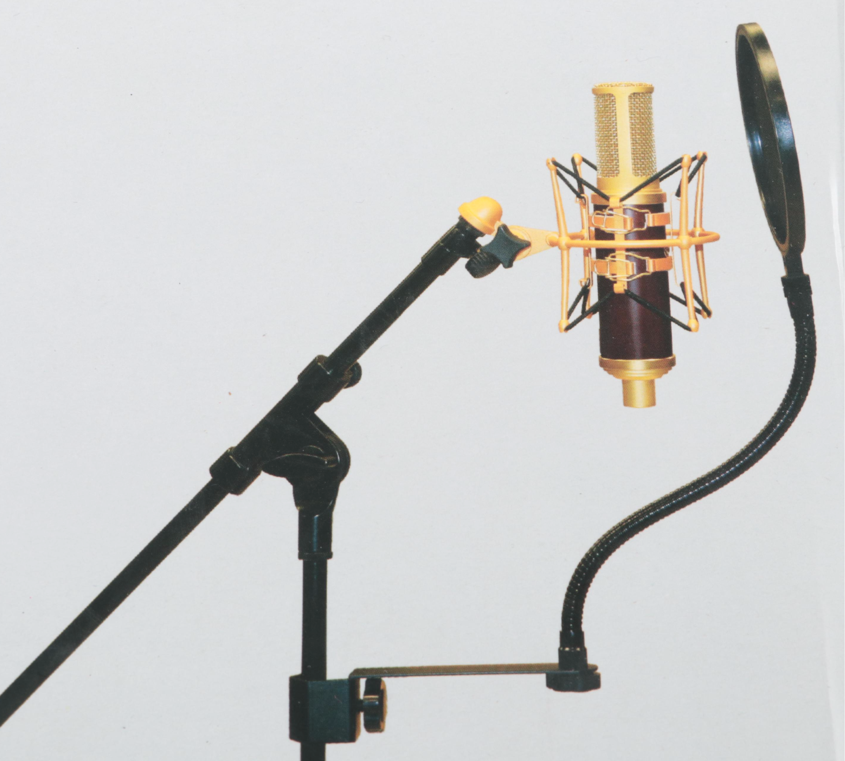 Electro-Voice RE20 Dynamic Broadcast Microphone with Auray Pop Filter