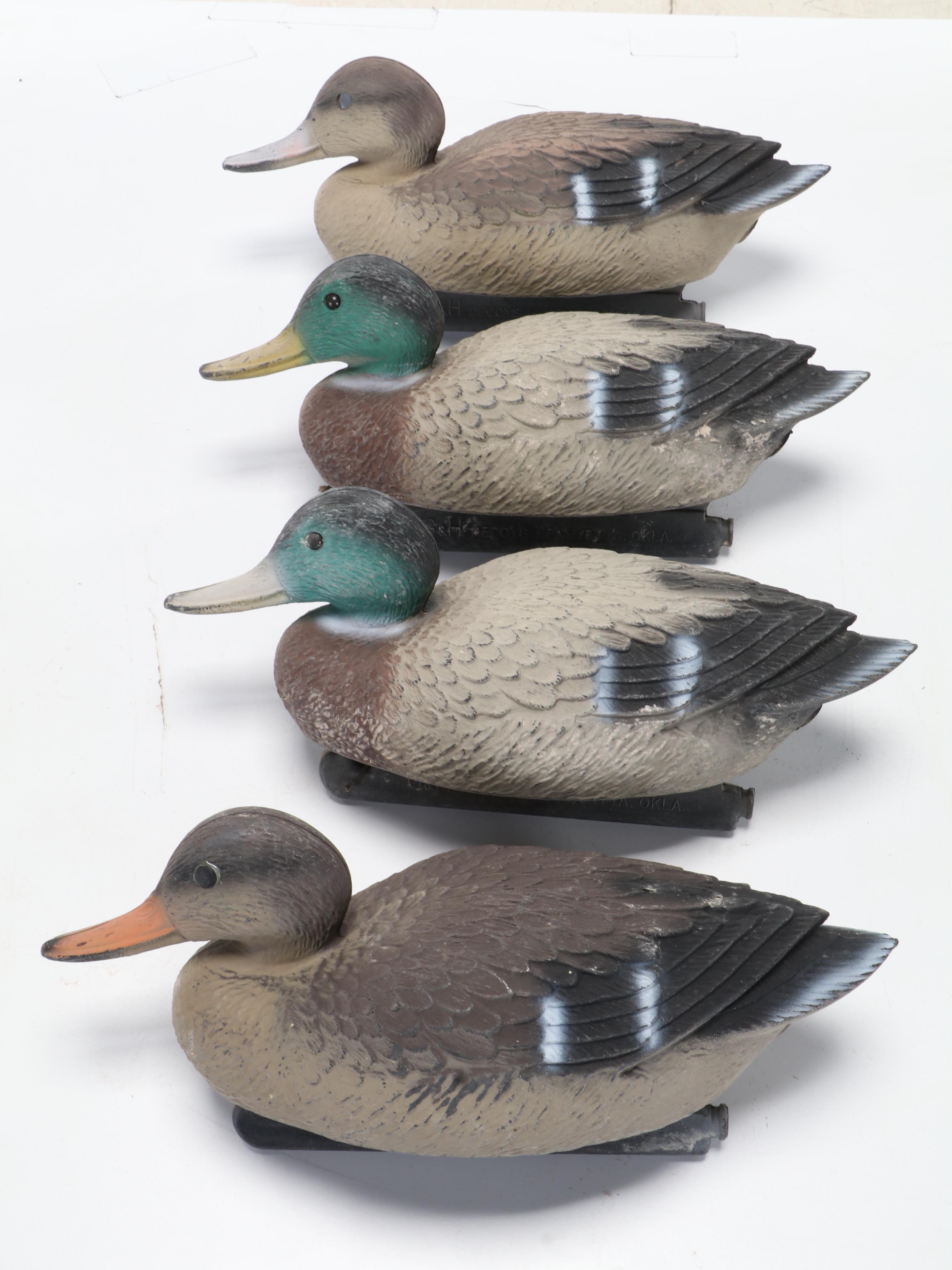 G&H Decoys Mallard Duck Drake and Hen Decoys