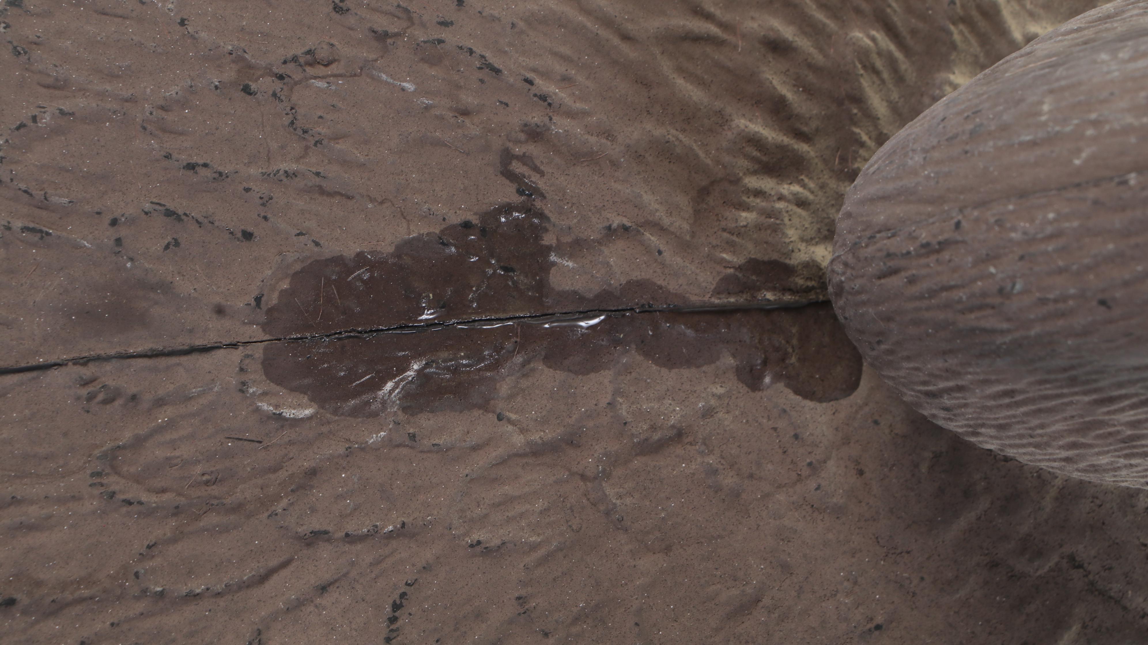 G&H Decoys Mallard Duck Drake and Hen Decoys