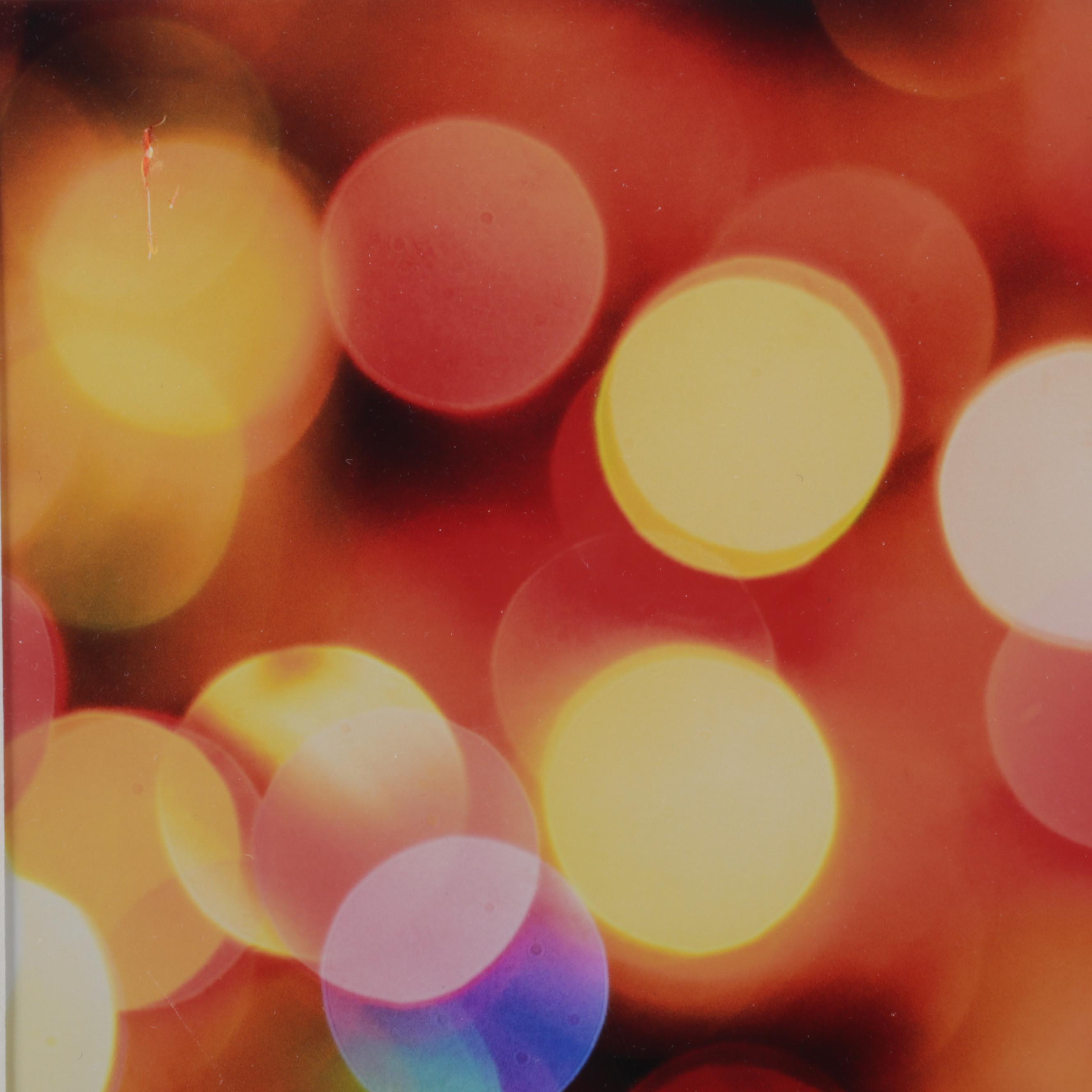 Scott Pakulski Digital Photograph "Robot Love," 2013