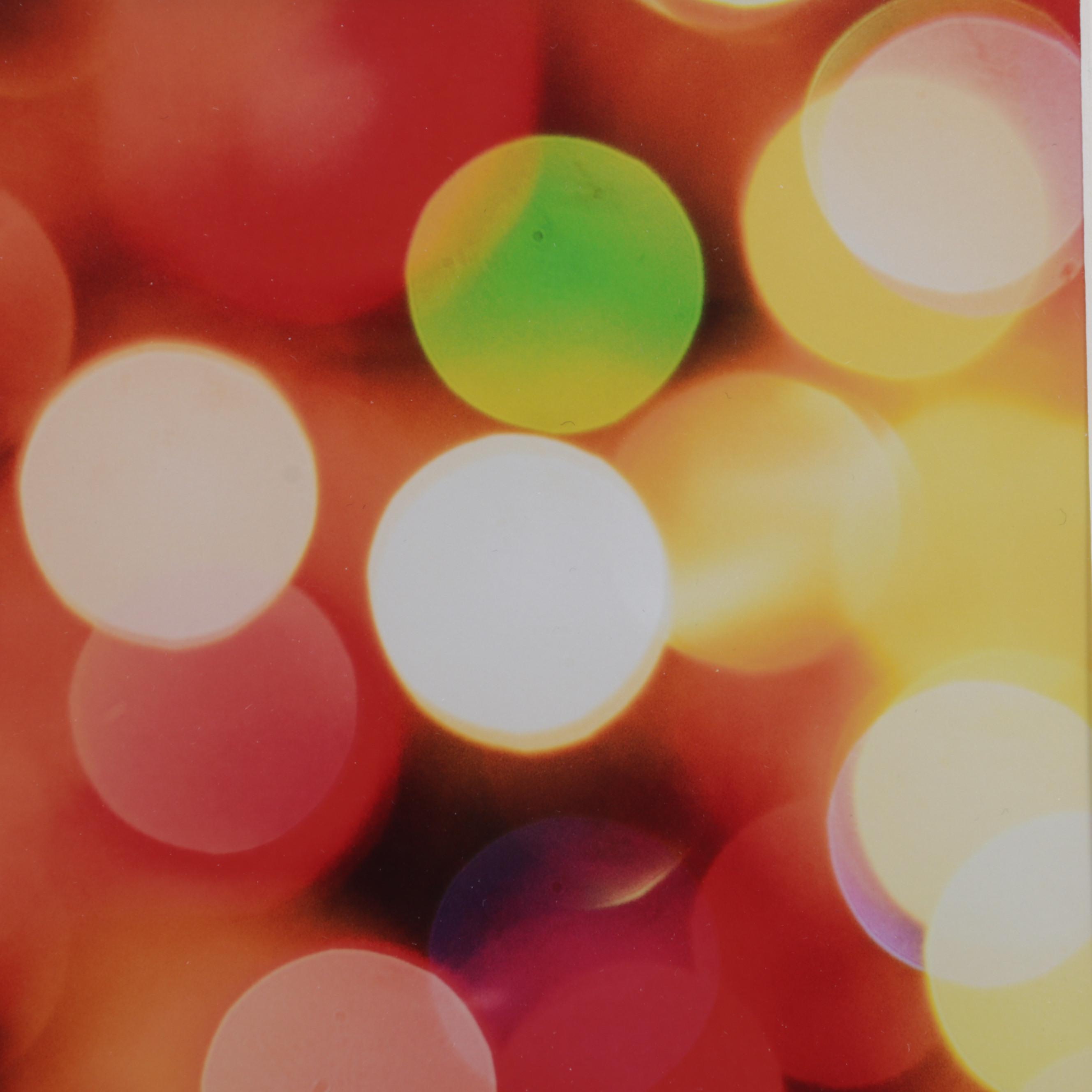 Scott Pakulski Digital Photograph "Robot Love," 2013