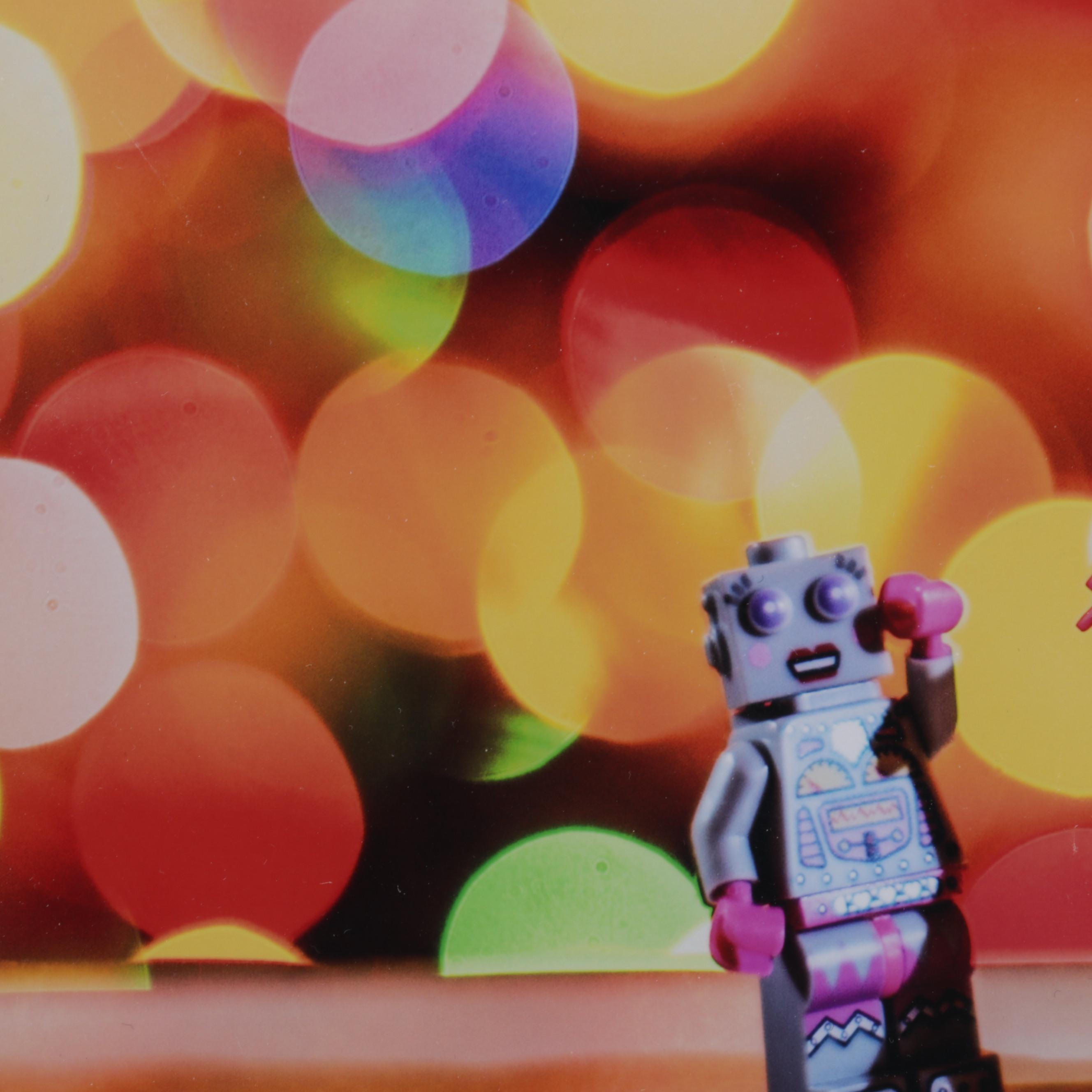 Scott Pakulski Digital Photograph "Robot Love," 2013