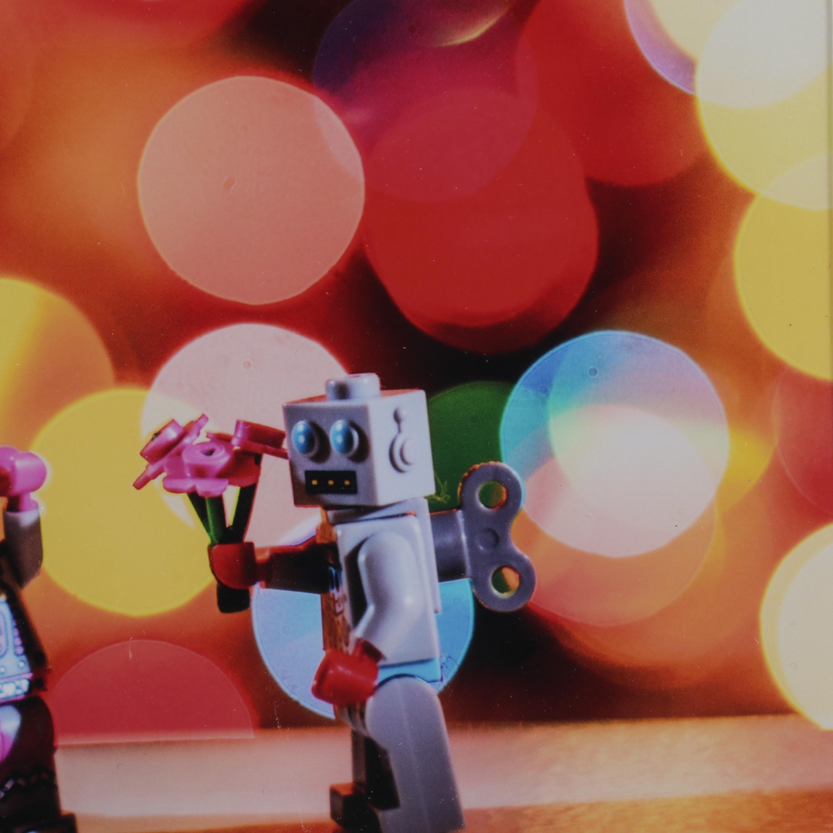 Scott Pakulski Digital Photograph "Robot Love," 2013