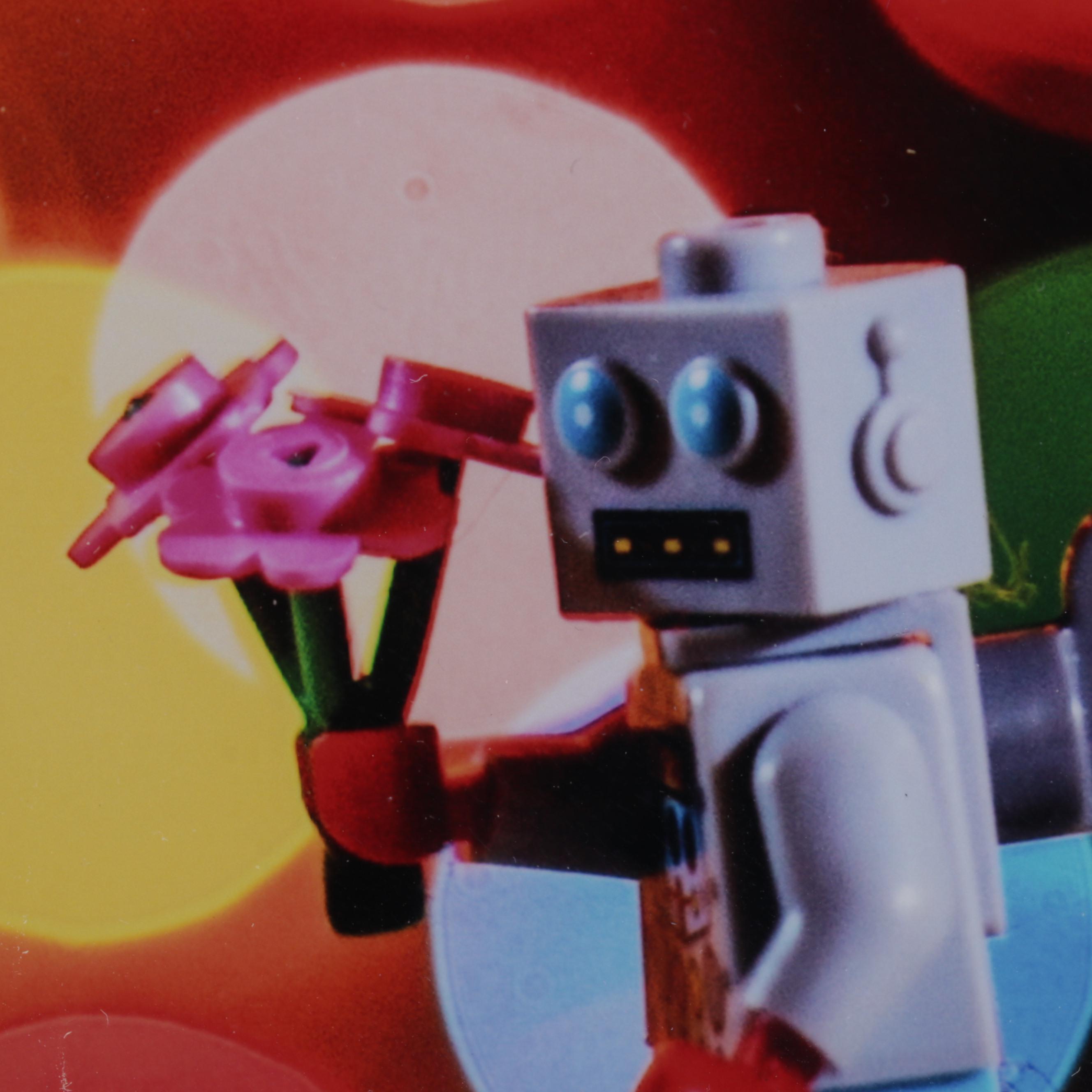 Scott Pakulski Digital Photograph "Robot Love," 2013