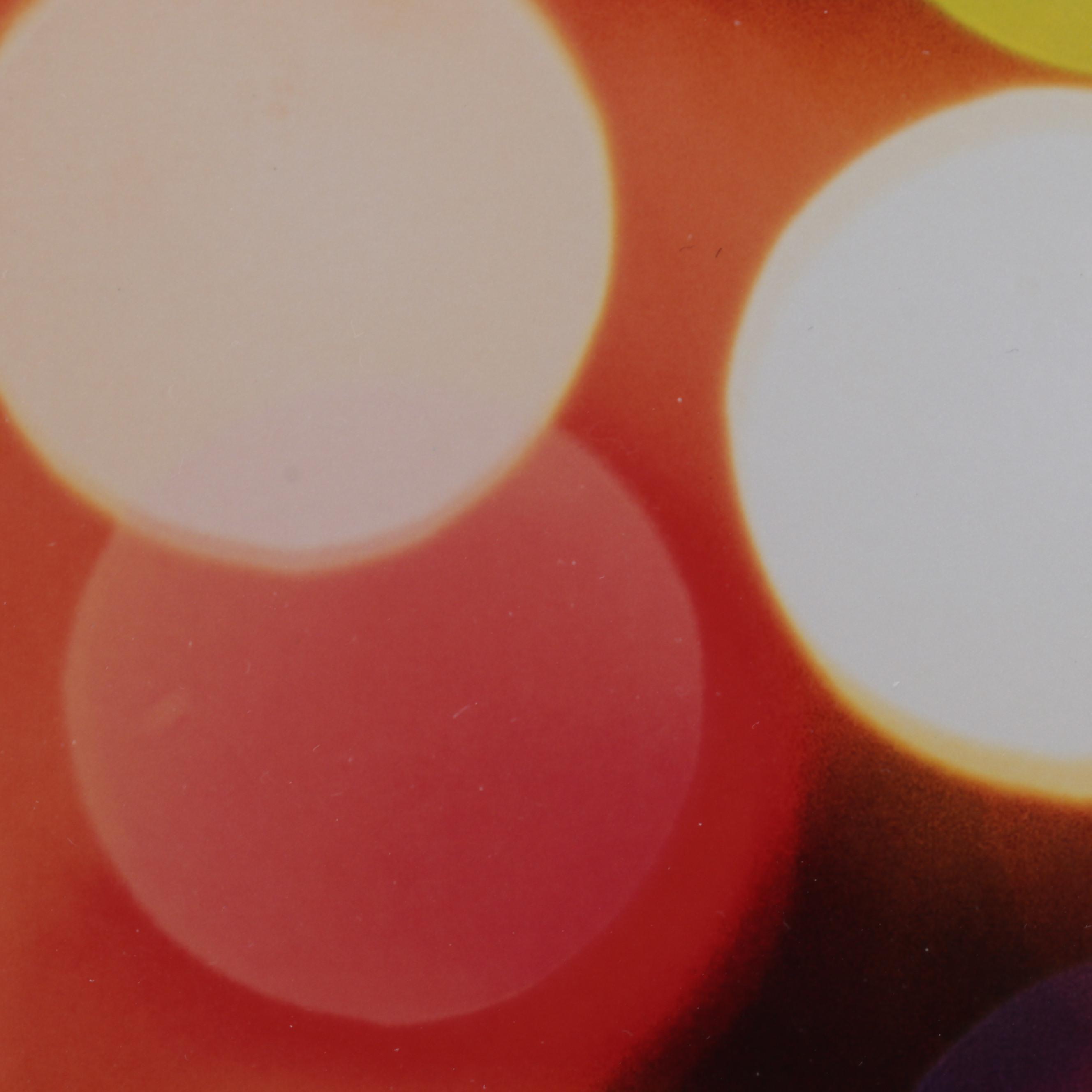 Scott Pakulski Digital Photograph "Robot Love," 2013