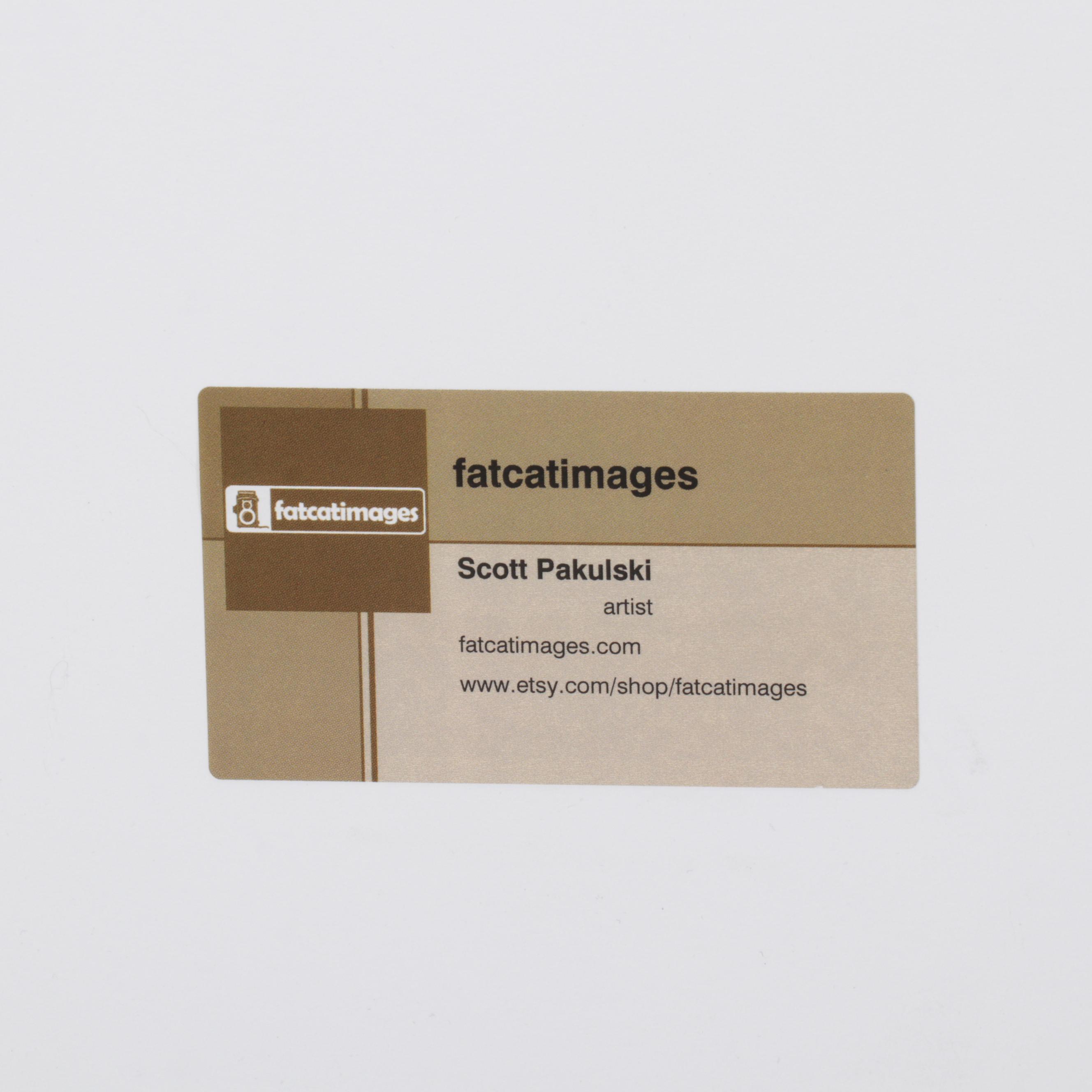 Scott Pakulski Digital Photograph "Robot Love," 2013