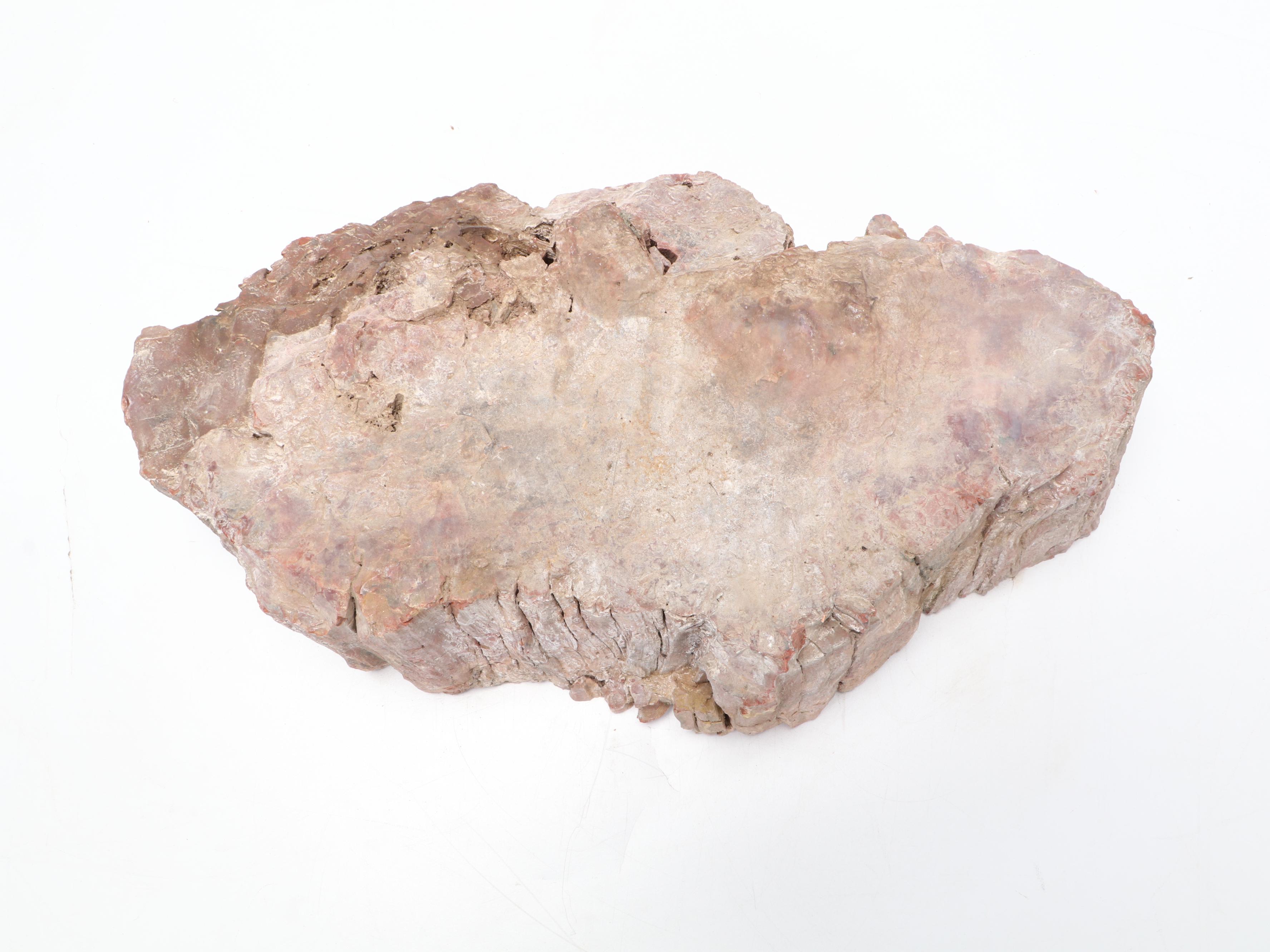 Large Partially Agatized Petrified Wood Specimen