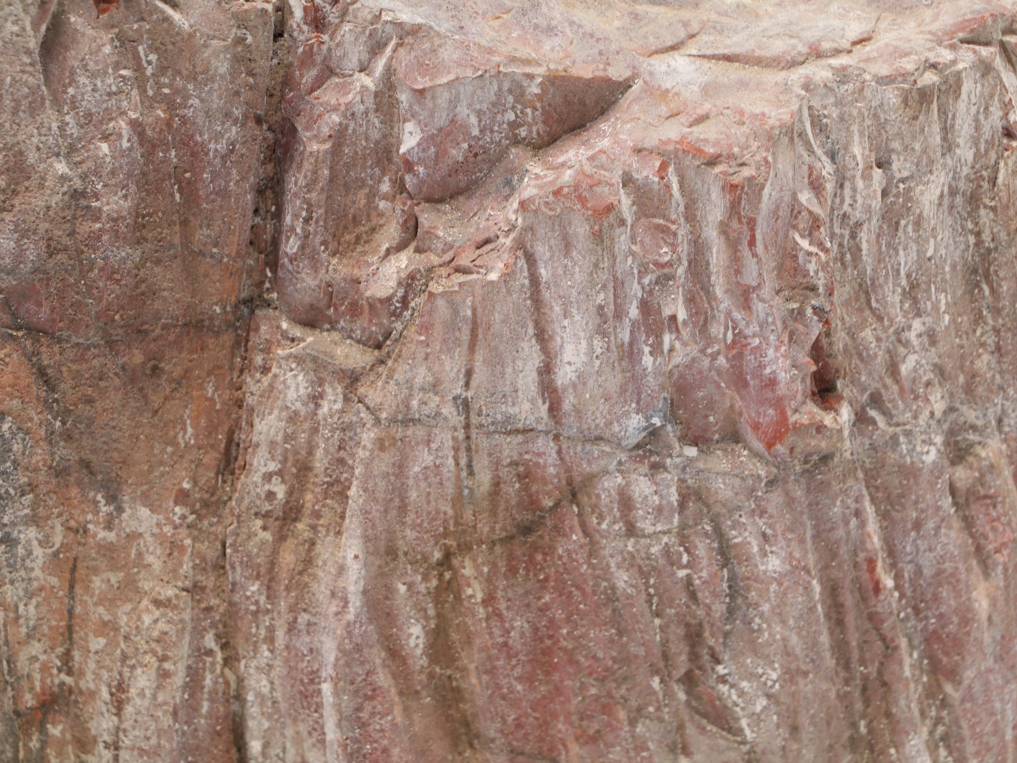 Large Partially Agatized Petrified Wood Specimen