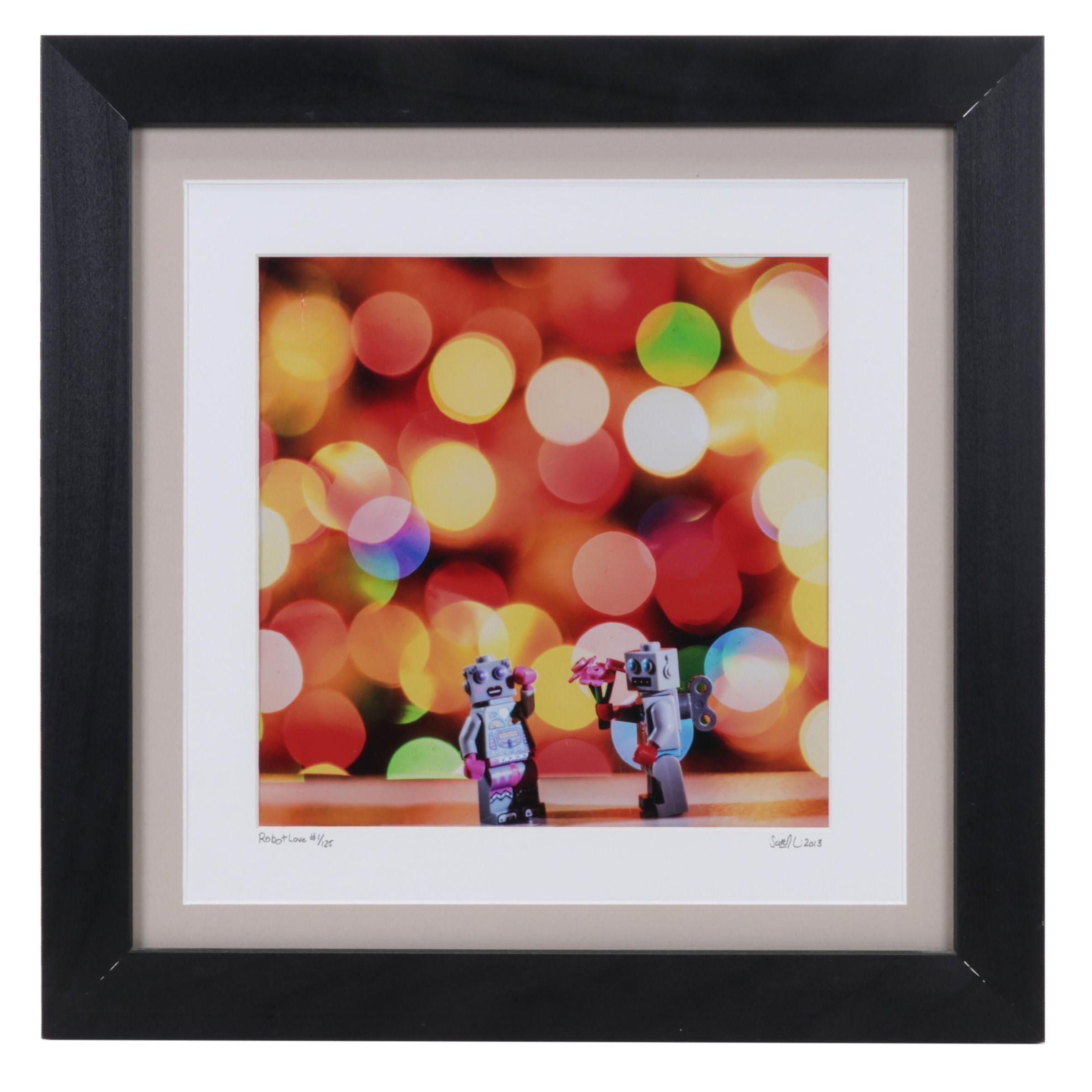 Scott Pakulski Digital Photograph "Robot Love," 2013