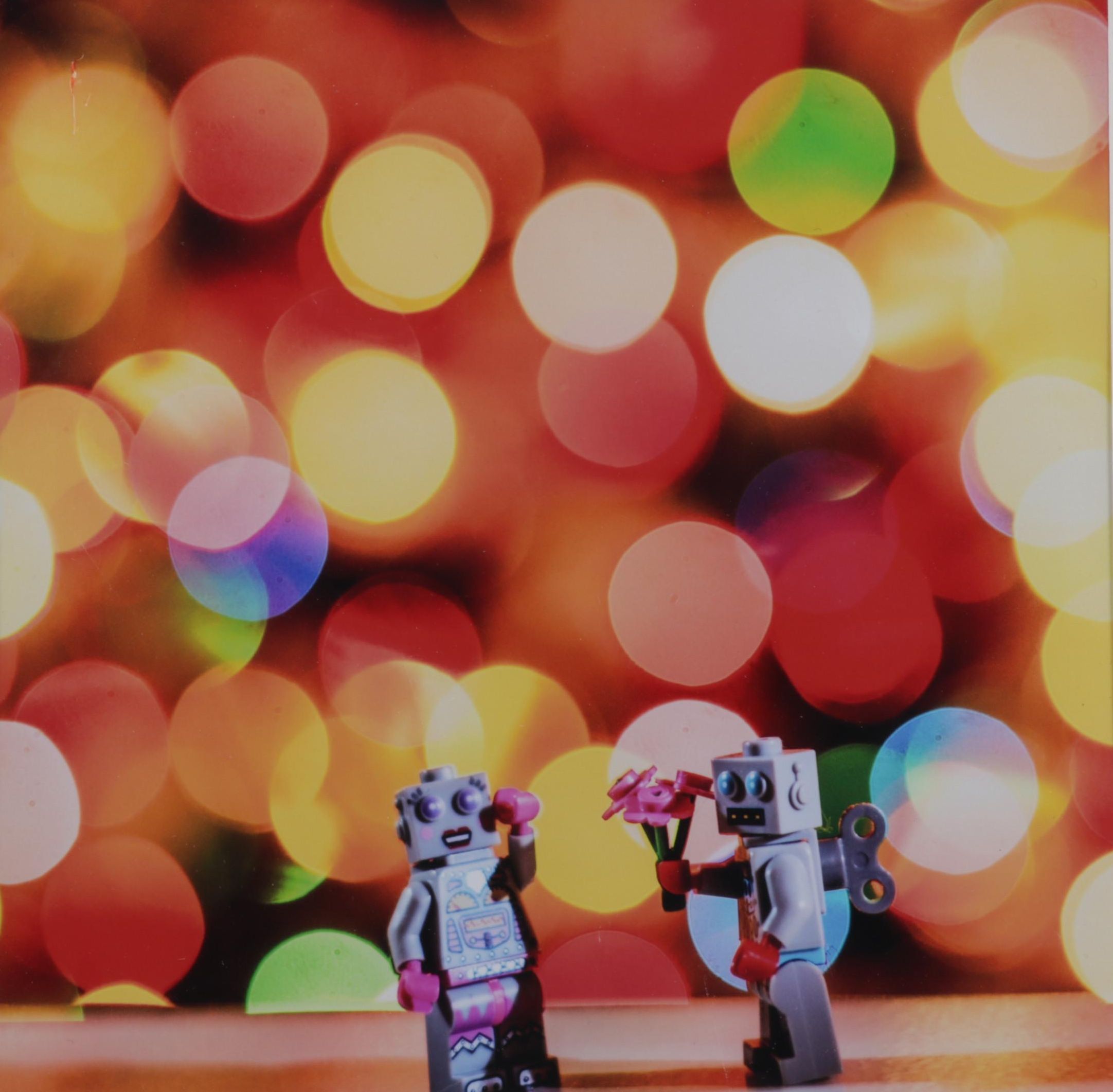 Scott Pakulski Digital Photograph "Robot Love," 2013