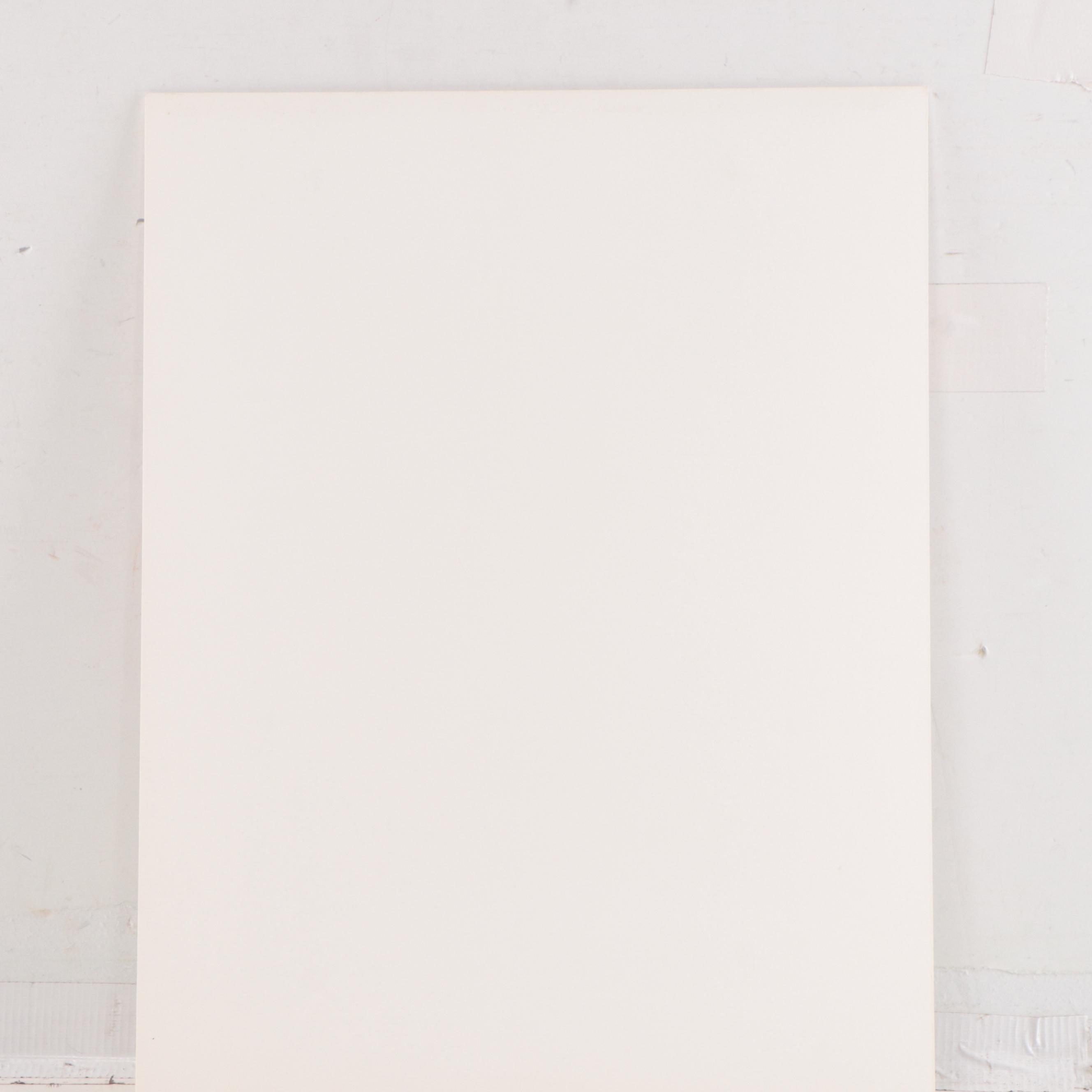 Honoré Daumier Political Cartoon Lithograph "Argument Irresistable"