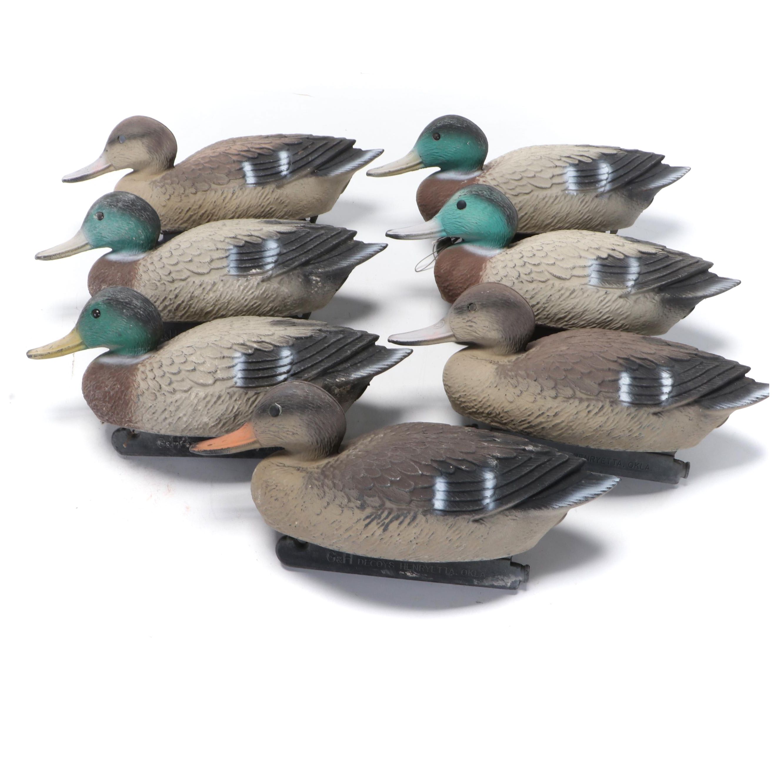 G&H Decoys Mallard Duck Drake and Hen Decoys