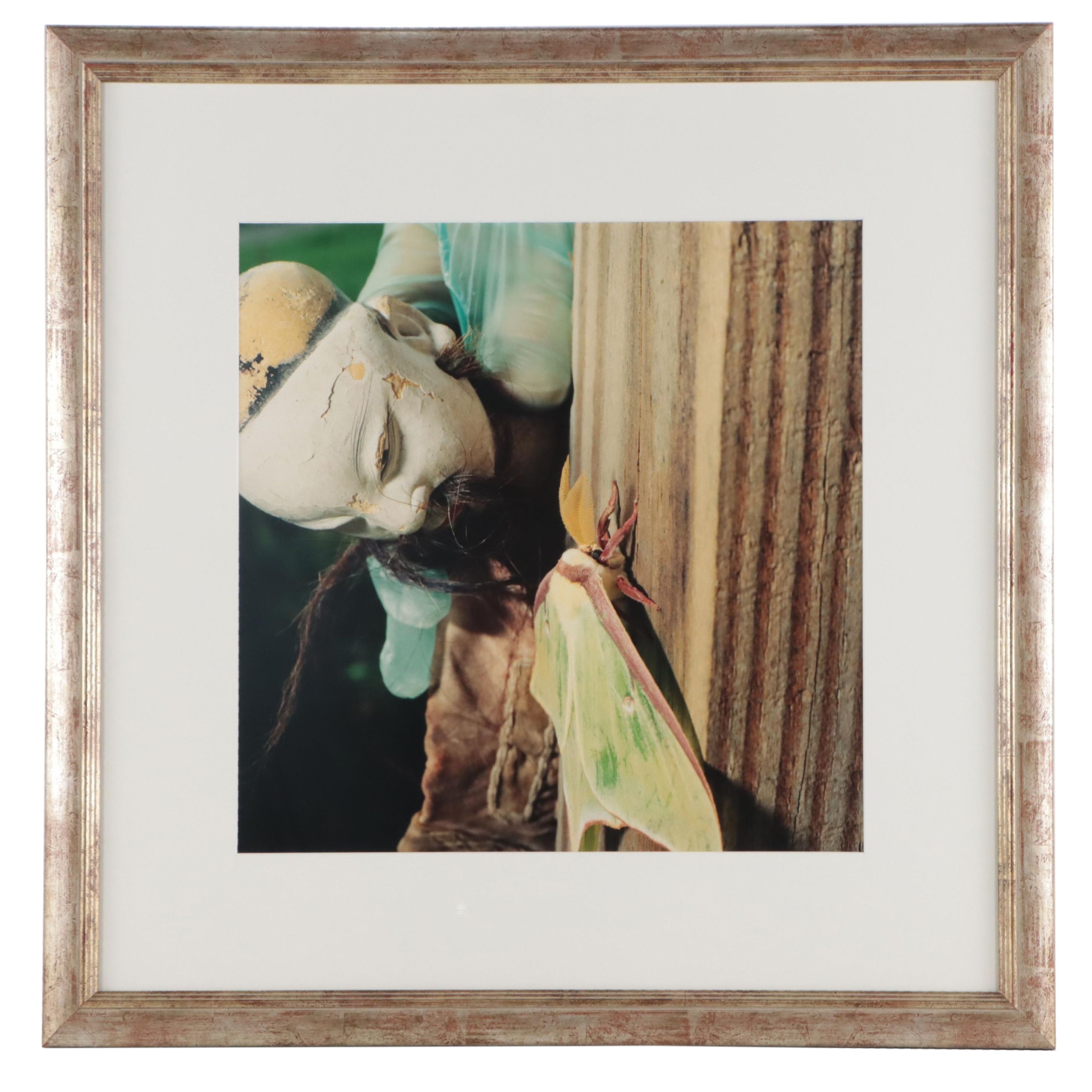 Cara Judea Alhadeff Chromogenic Photograph "Now (Luna Moth)," Late 20th Century