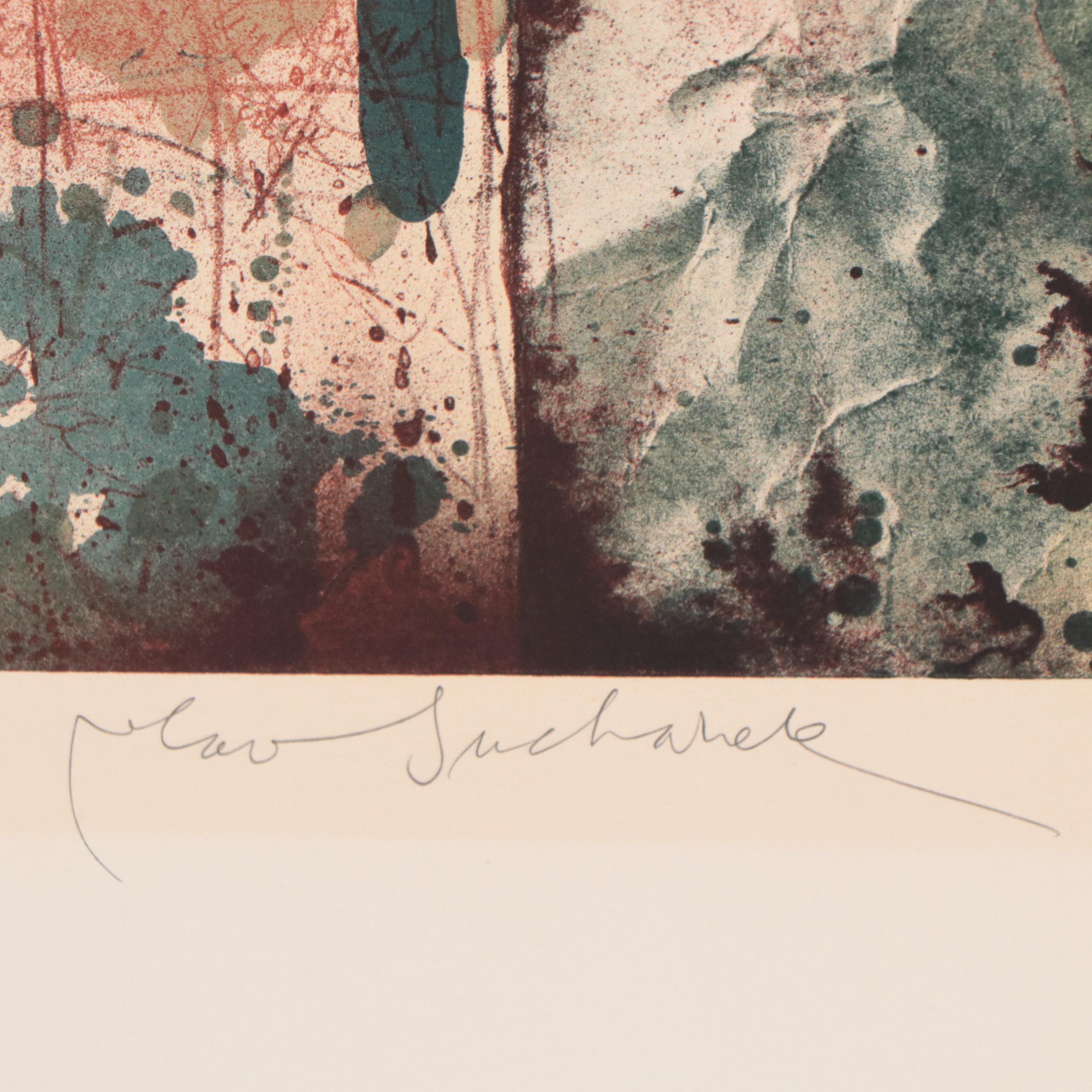 Vladimir Suchánek Surreal Lithograph, Circa 1988