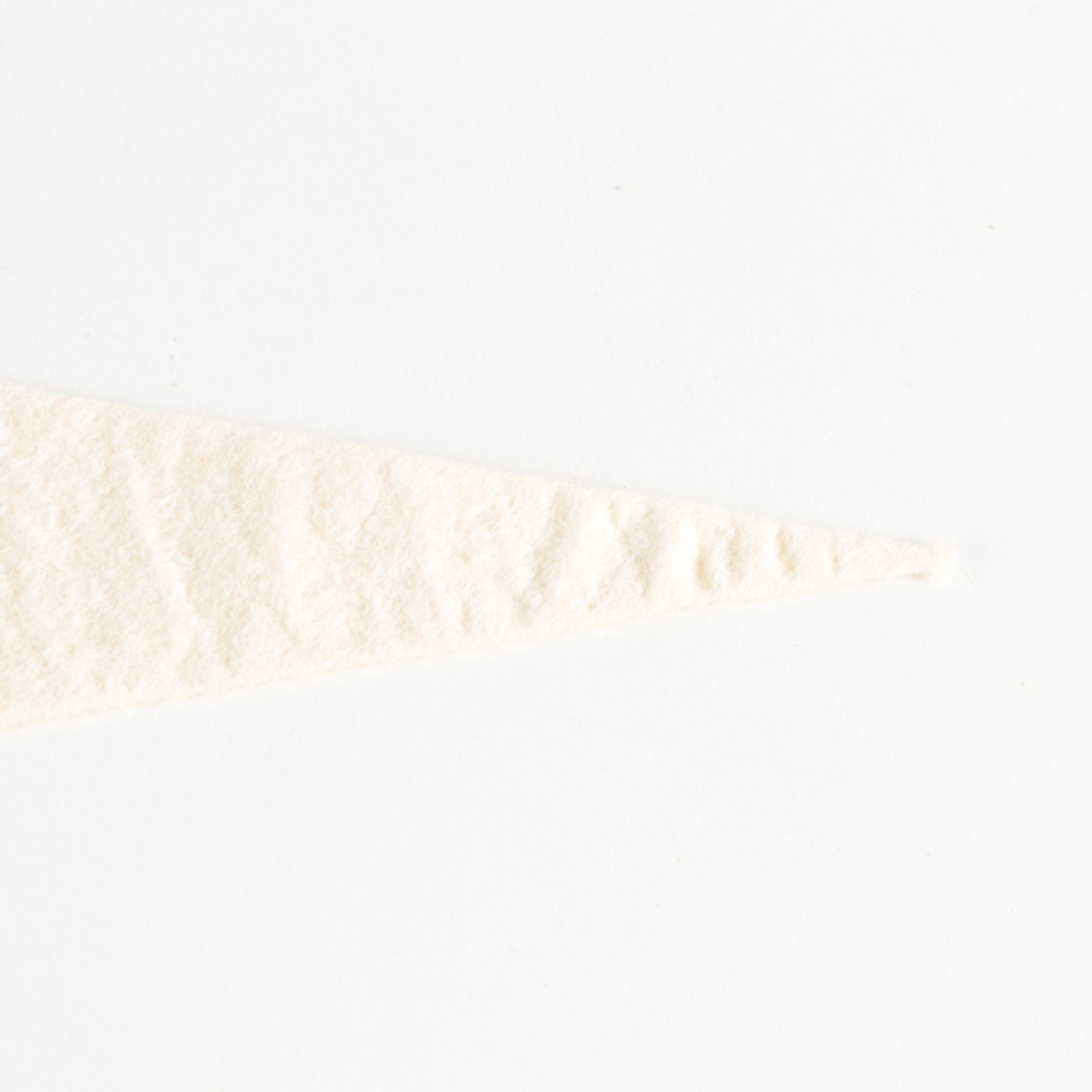 1961 Cincinnati Reds MLB National League Champions Pennant