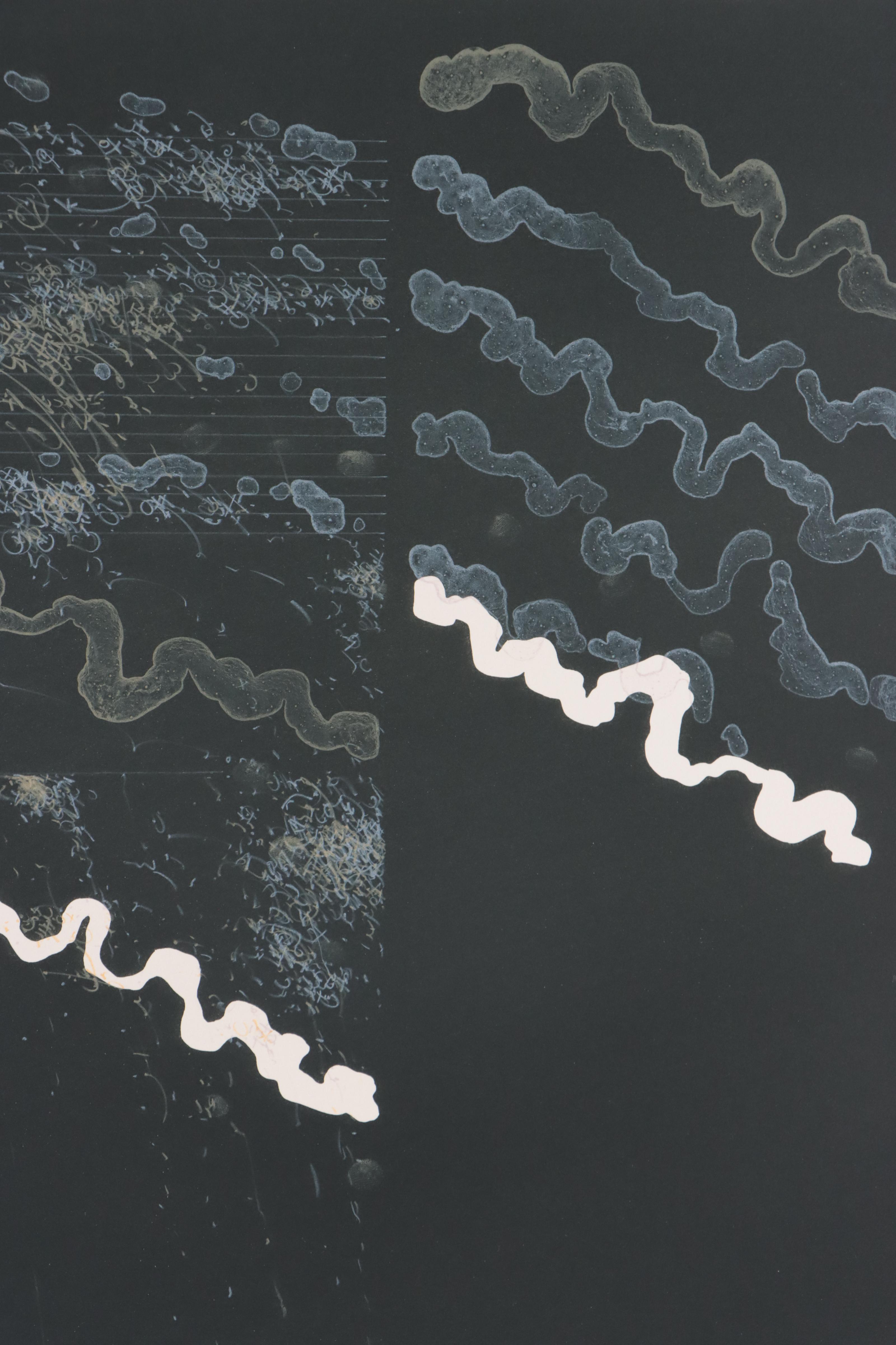 Douglas W. Warner Lithograph "Canal Street Notations," 1980