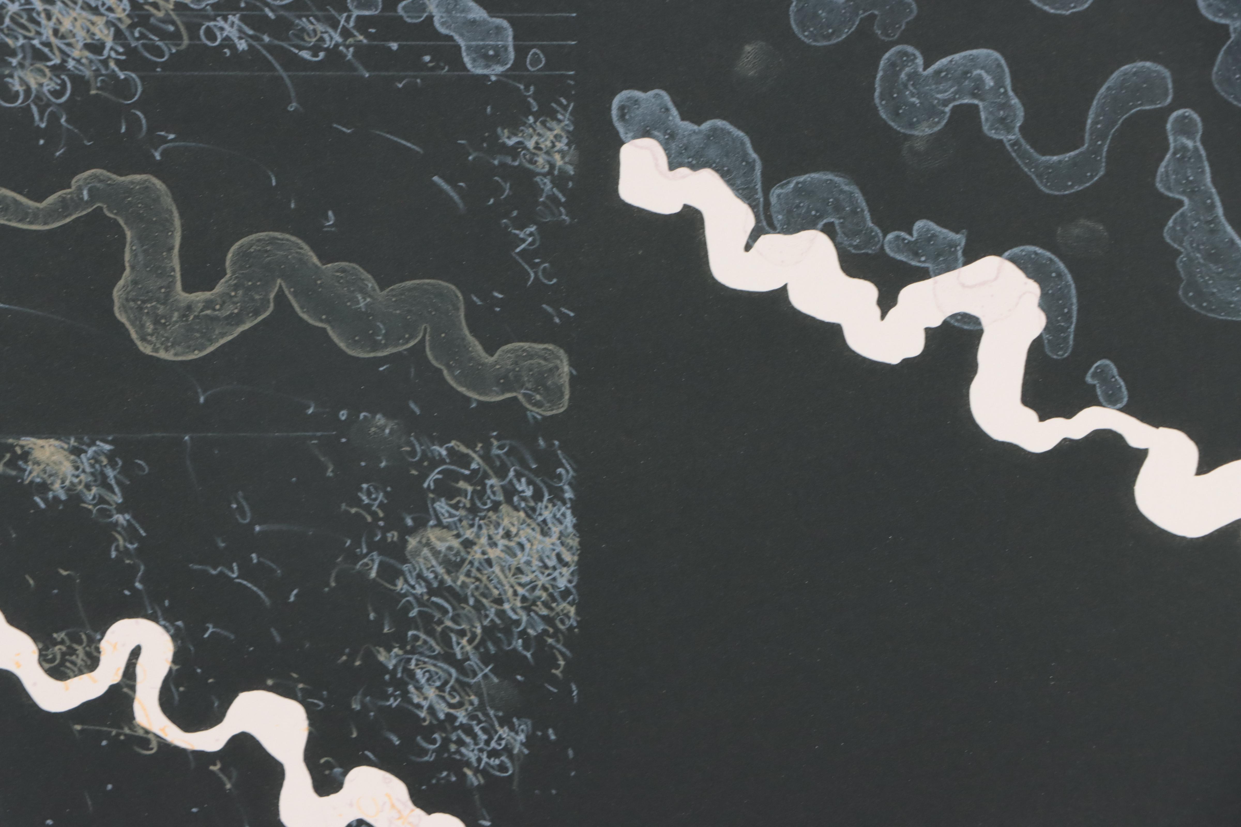 Douglas W. Warner Lithograph "Canal Street Notations," 1980