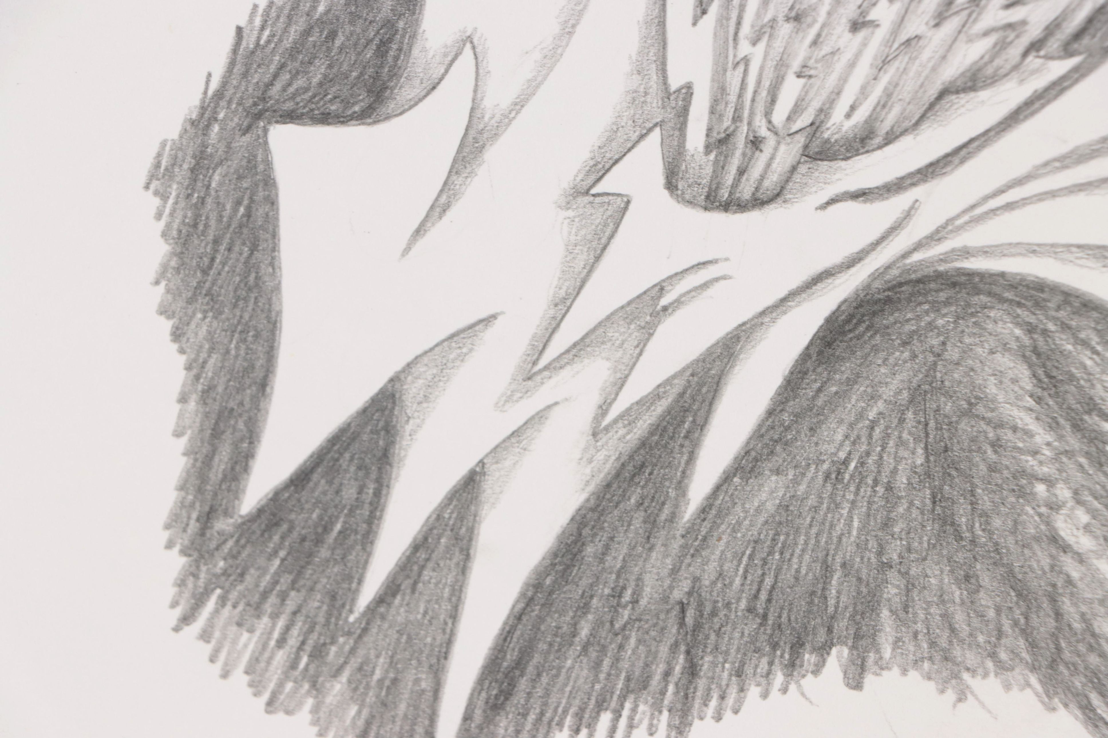 Gustav Von der Loo Abstract Graphite Drawing, 1988