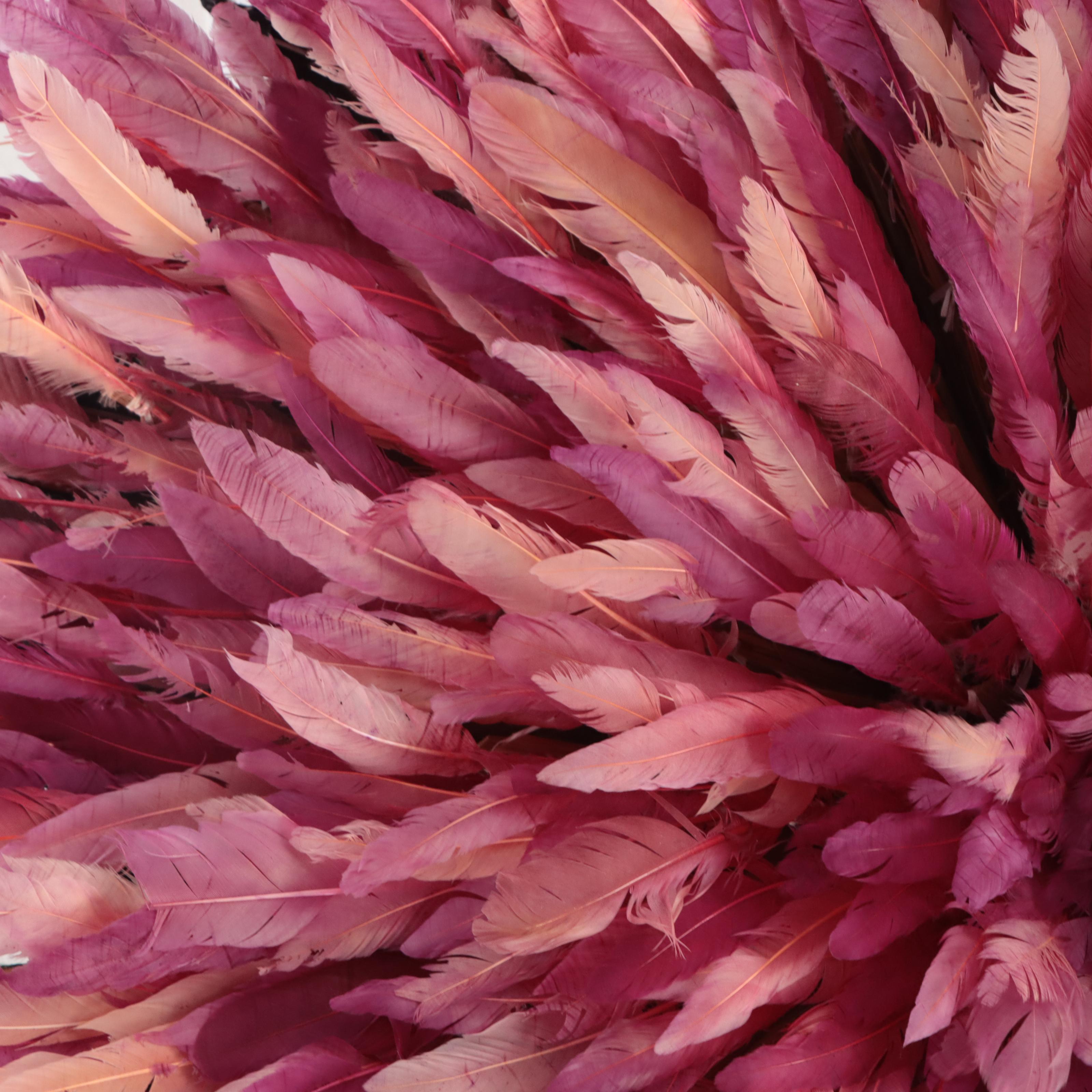 Bamileke (Cameroon) Feather Headdress, Mid-20th Century