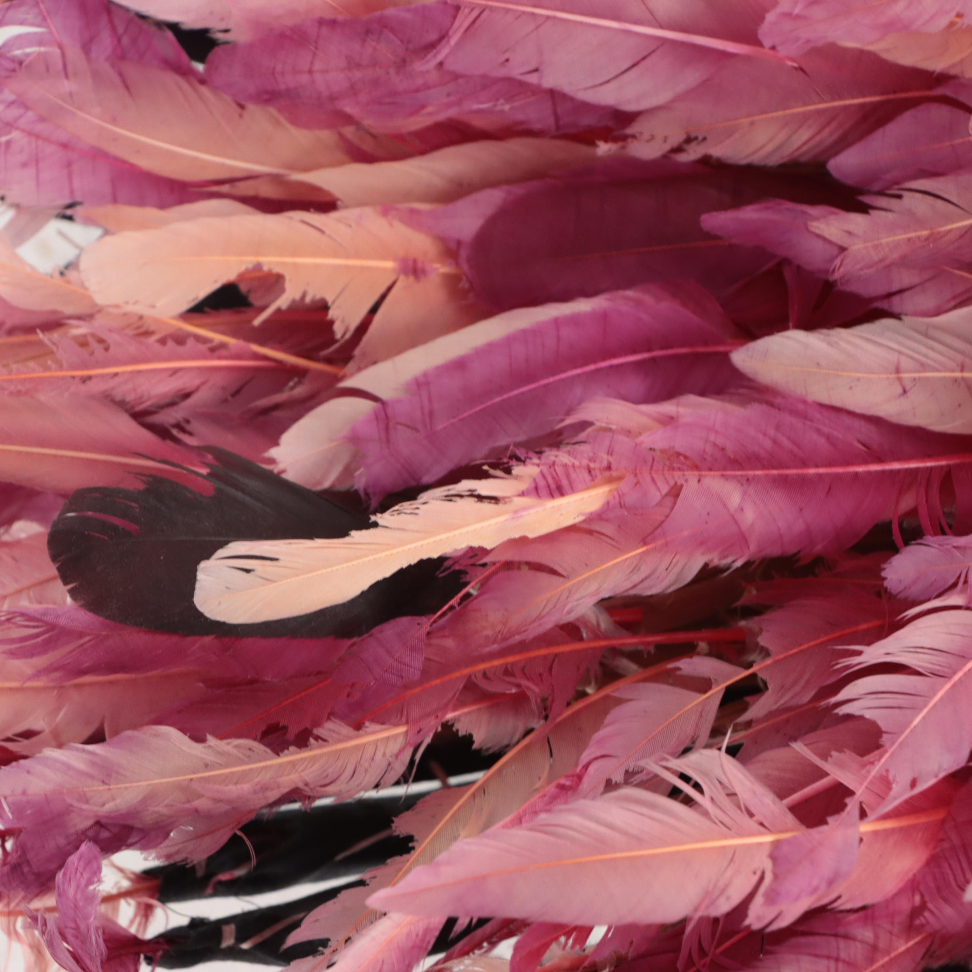 Bamileke (Cameroon) Feather Headdress, Mid-20th Century