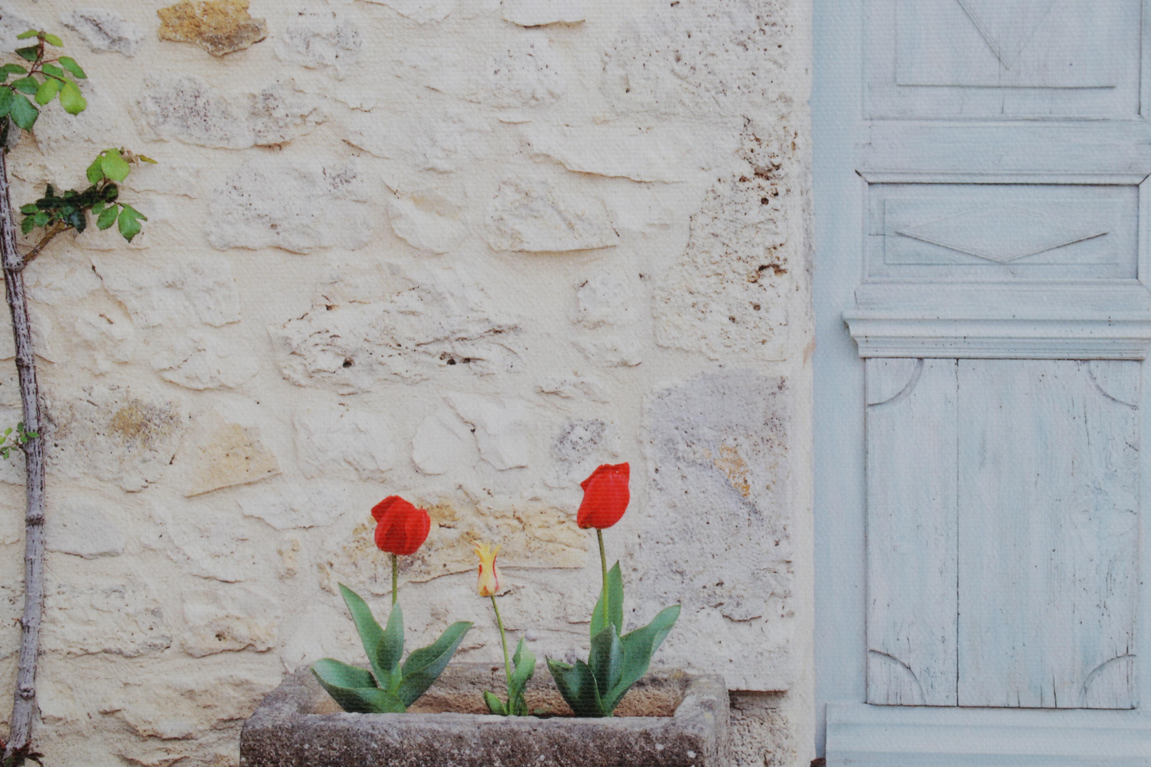 David Kiley Giclée "Bluestone in France," Circa 2005