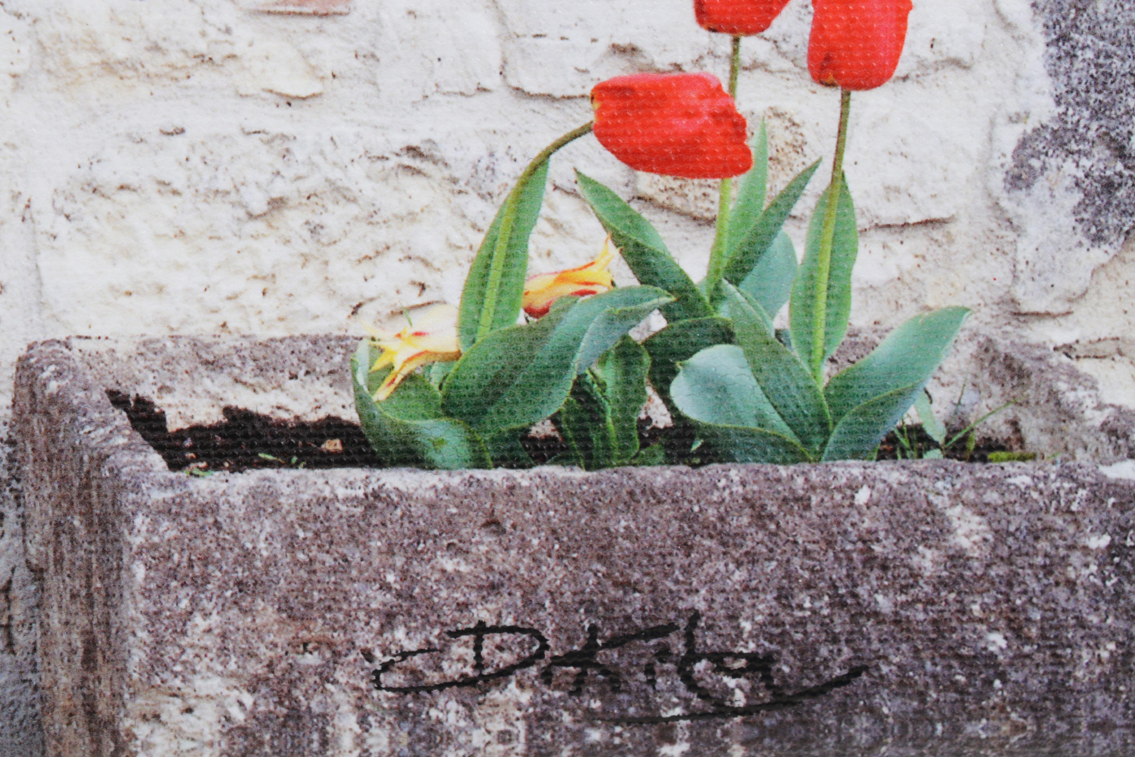 David Kiley Giclée "Bluestone in France," Circa 2005