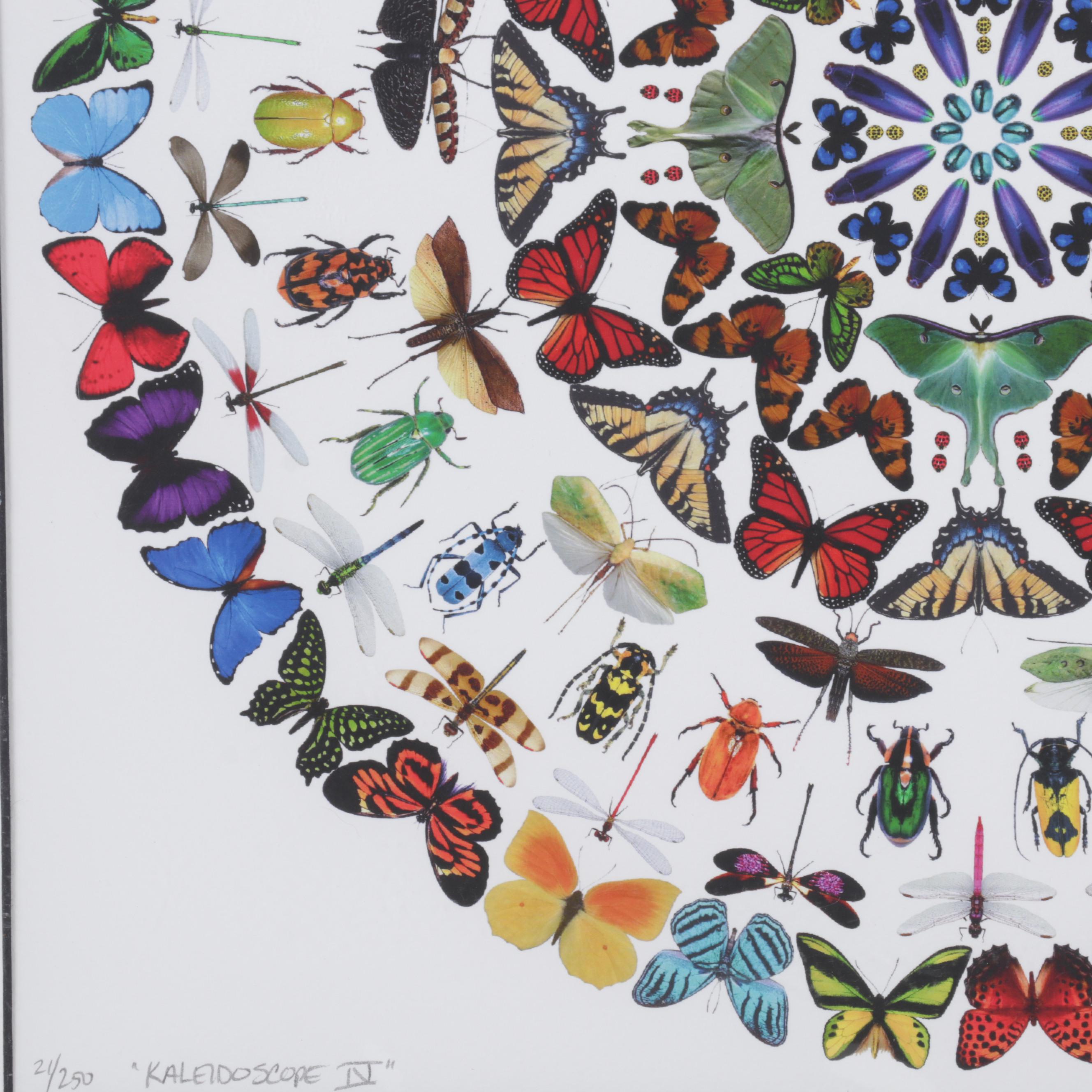 Jennifer Ivory Giclée "Kaleidoscope IV," 2016