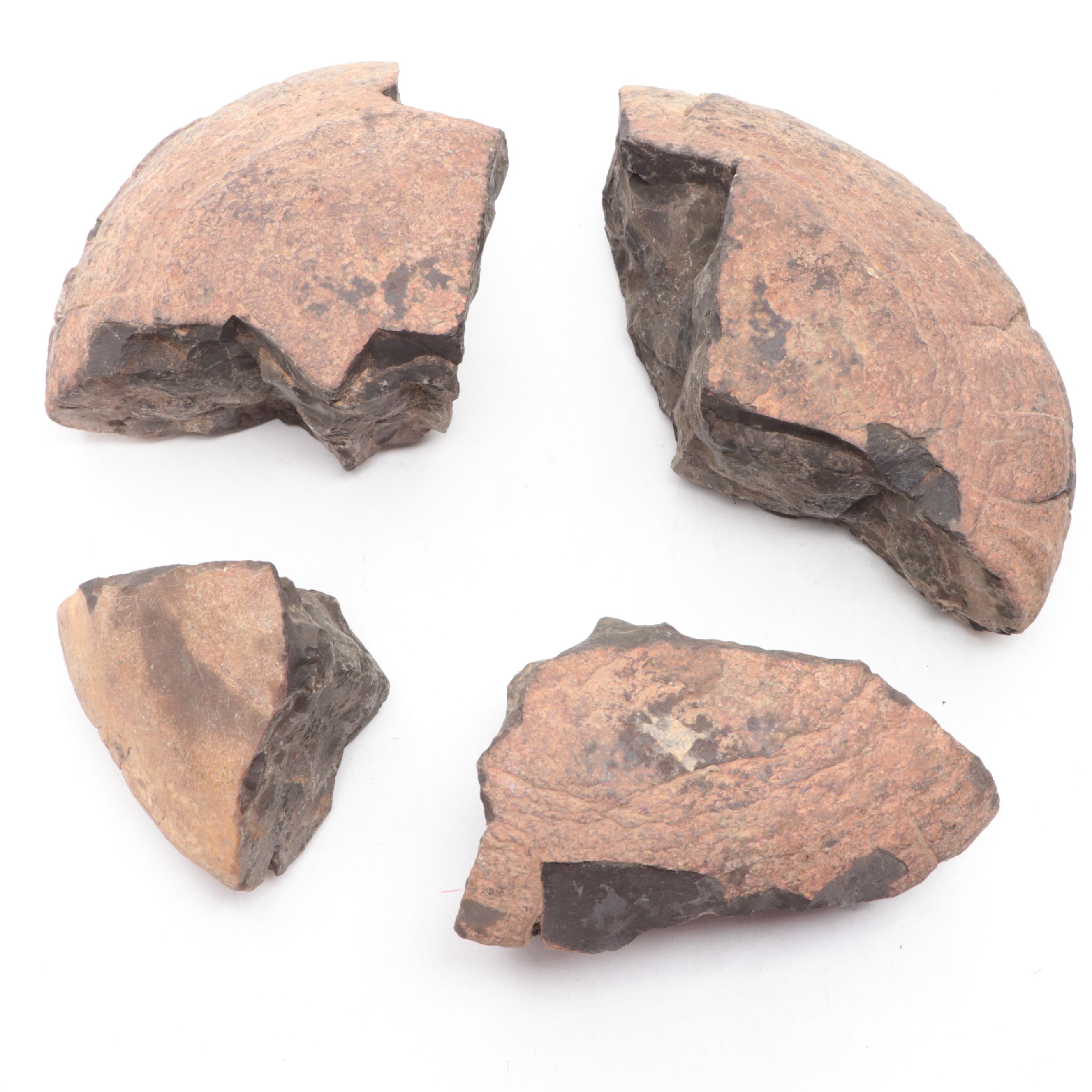 Pseudofossil Concretion