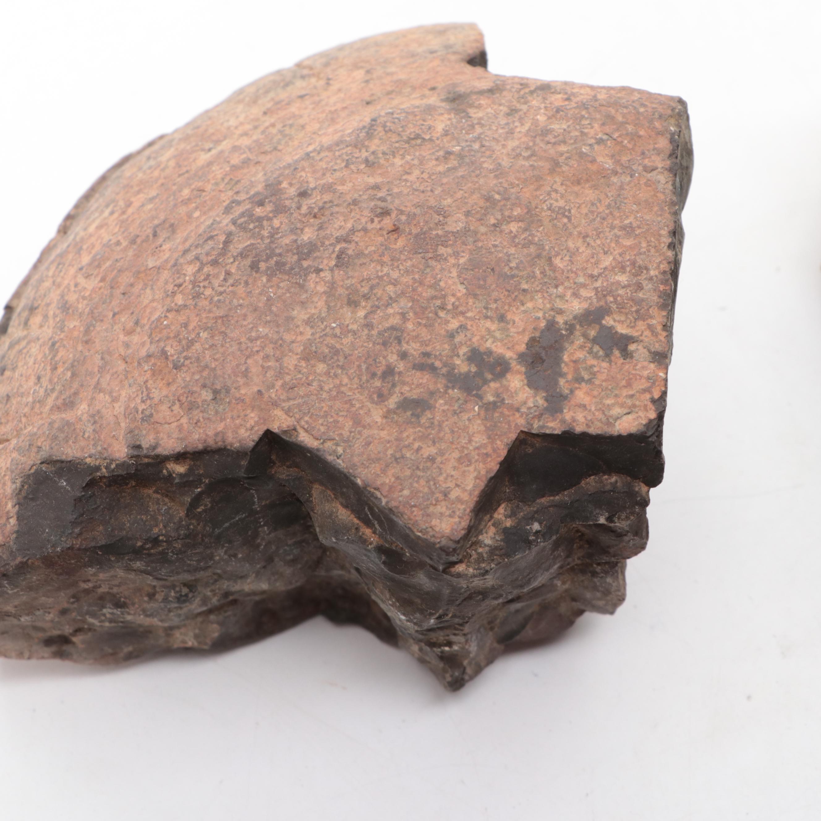 Pseudofossil Concretion