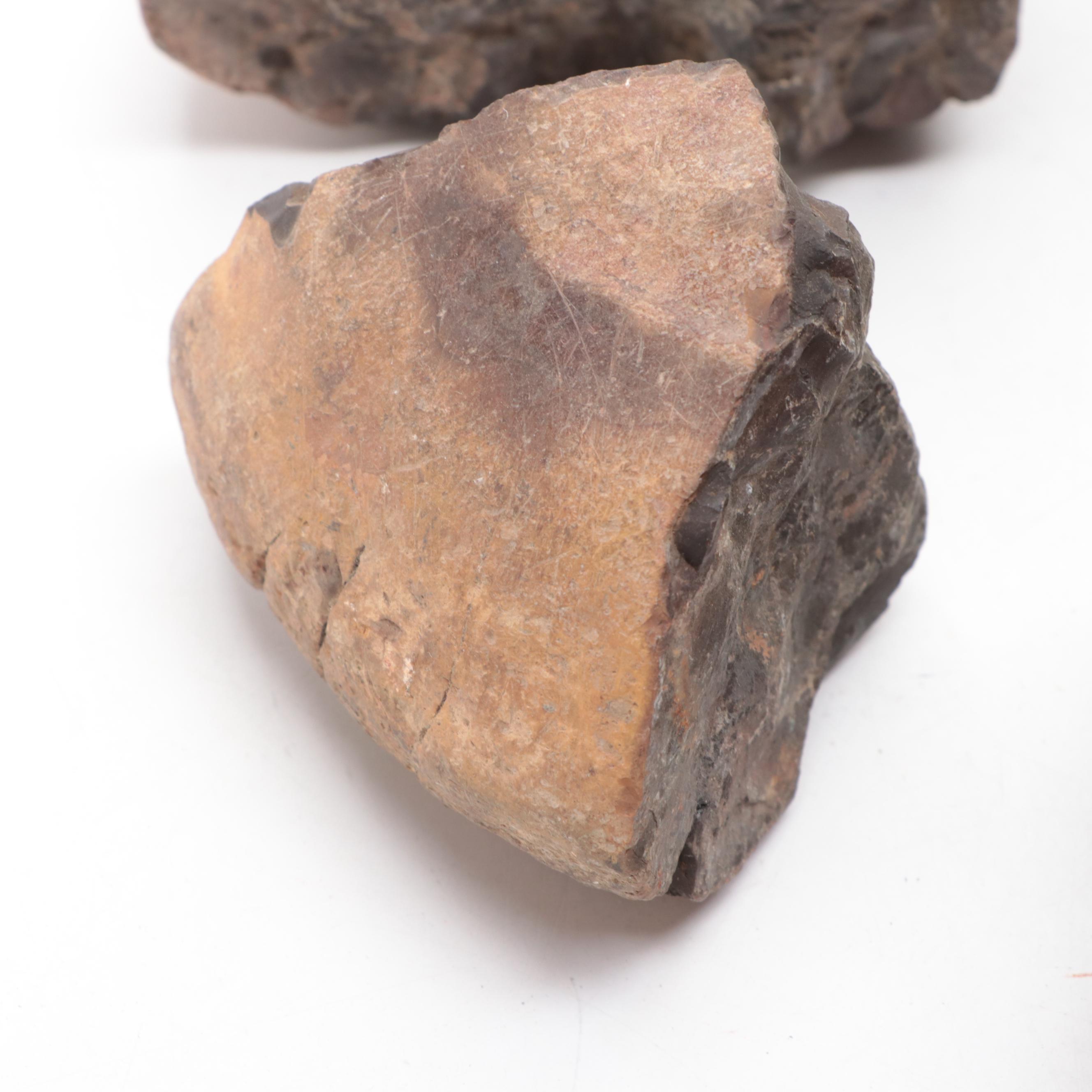 Pseudofossil Concretion